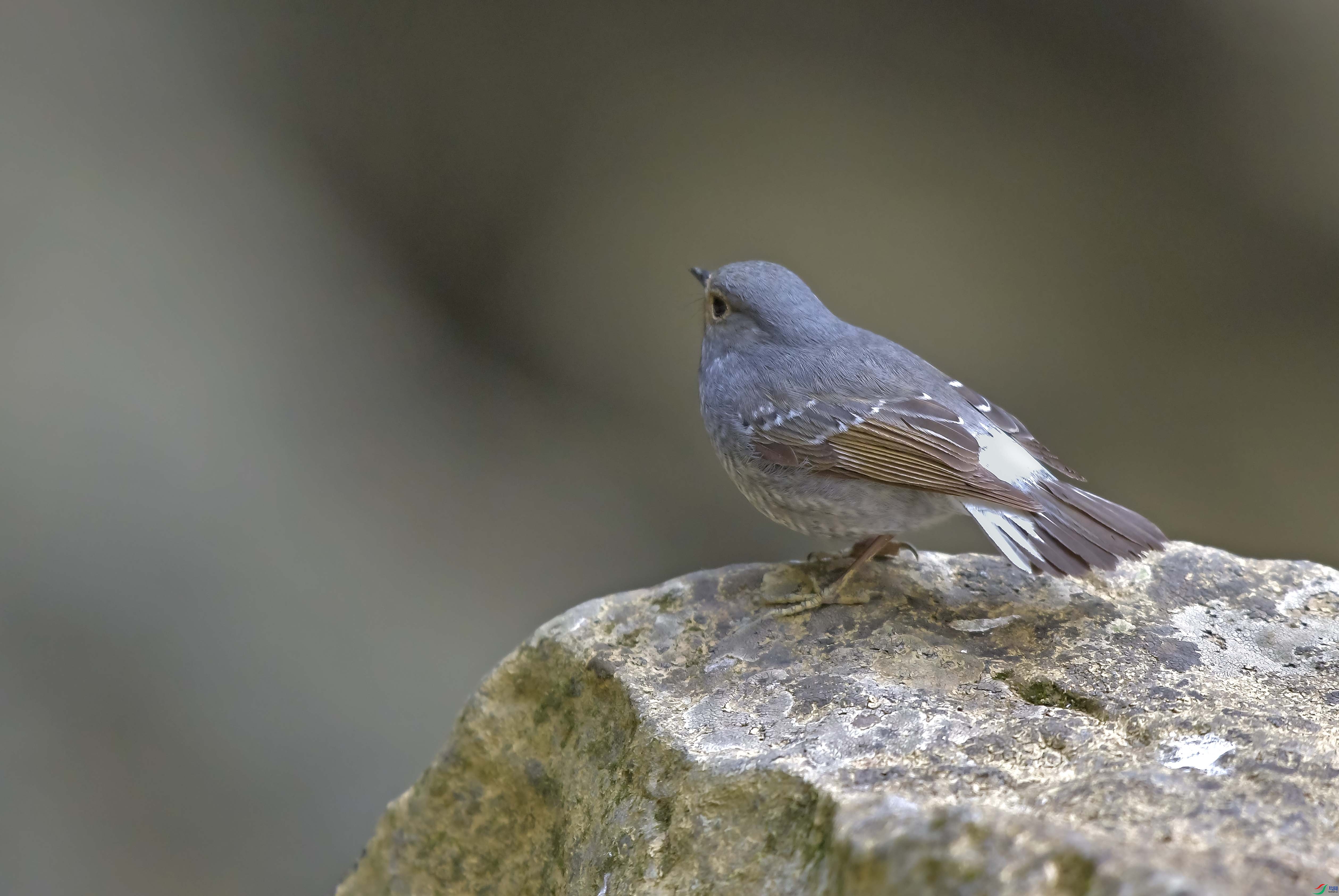 DSC_9873.JPG
