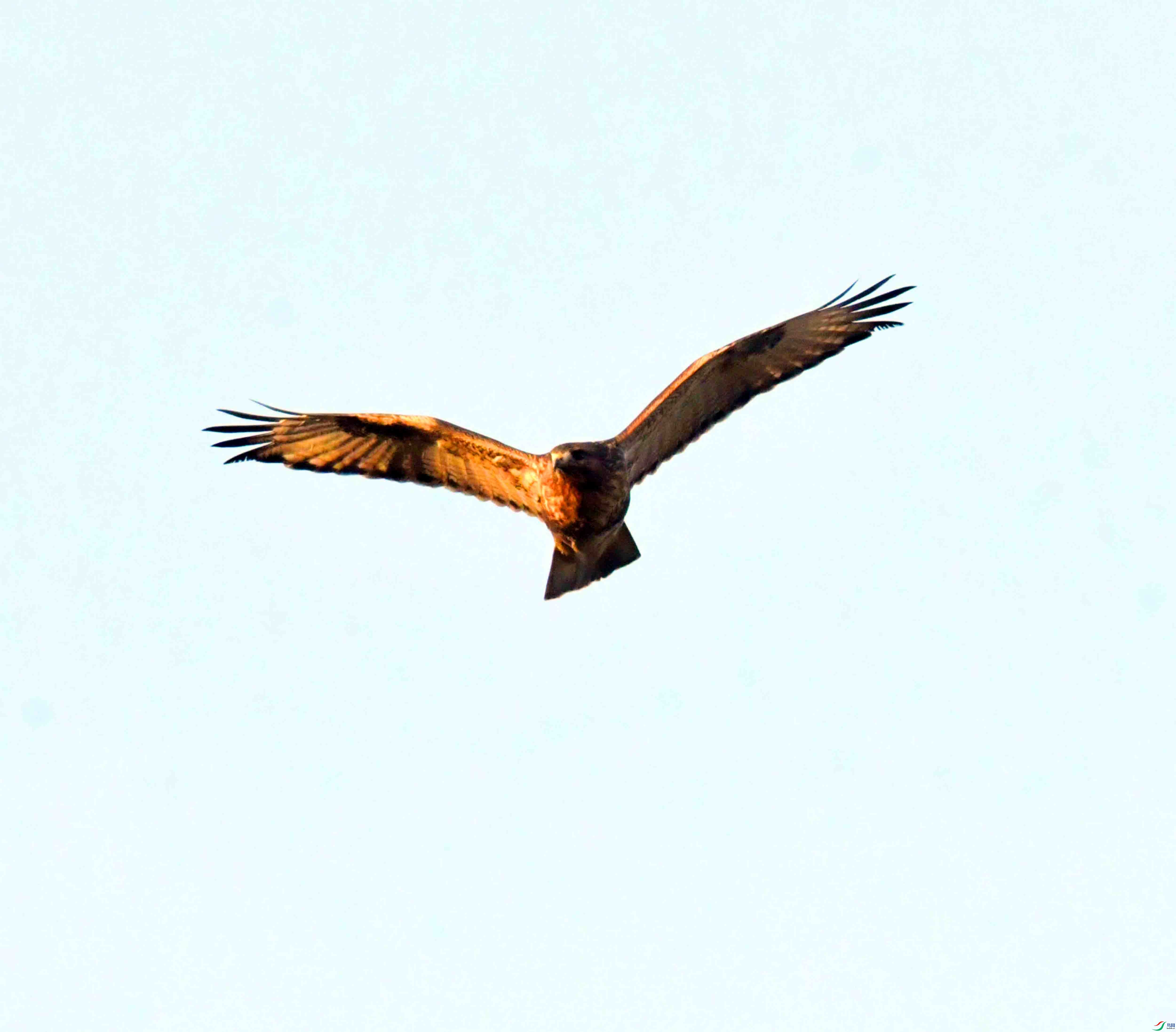 DSC_9030.JPG