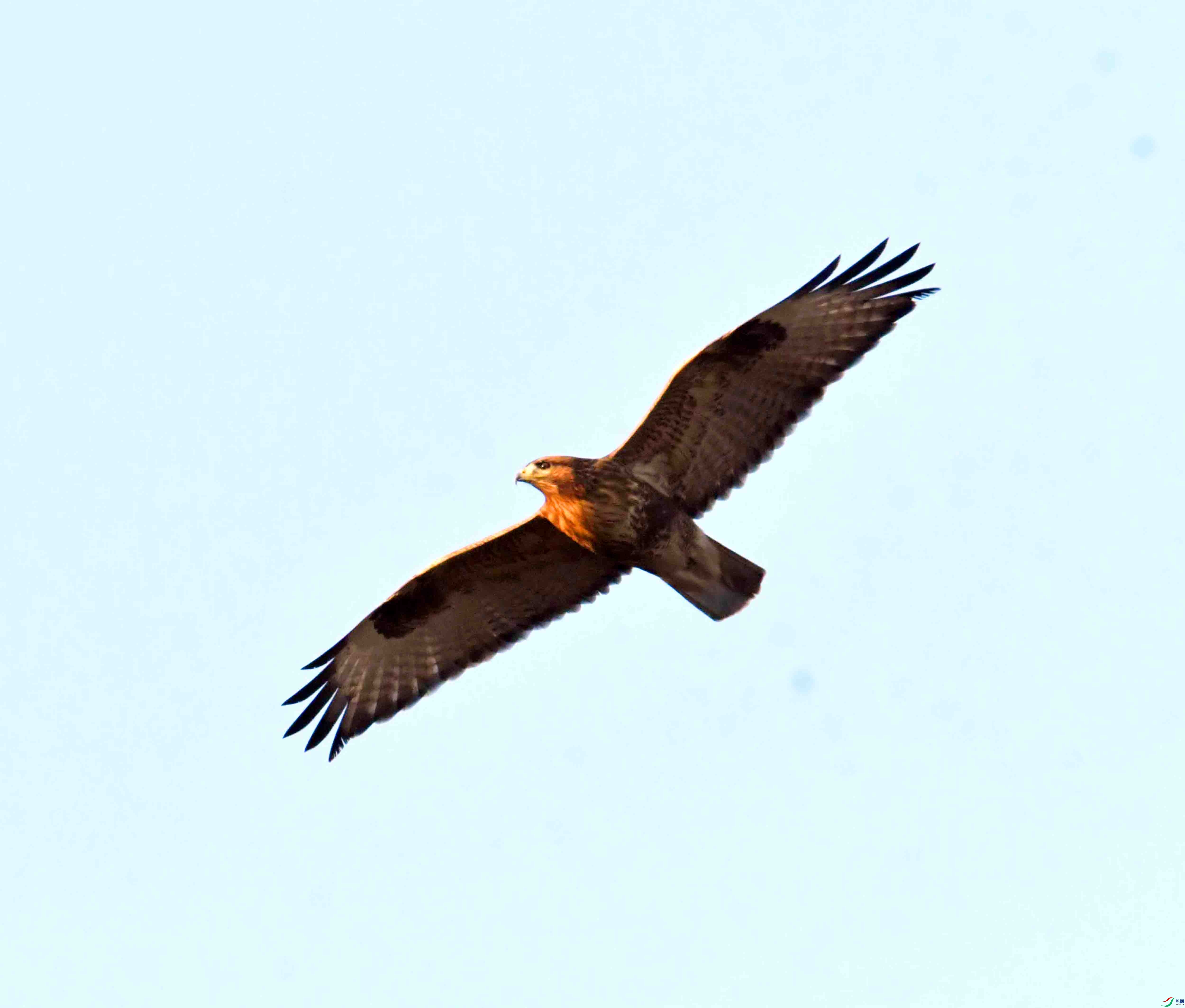 DSC_9038.JPG