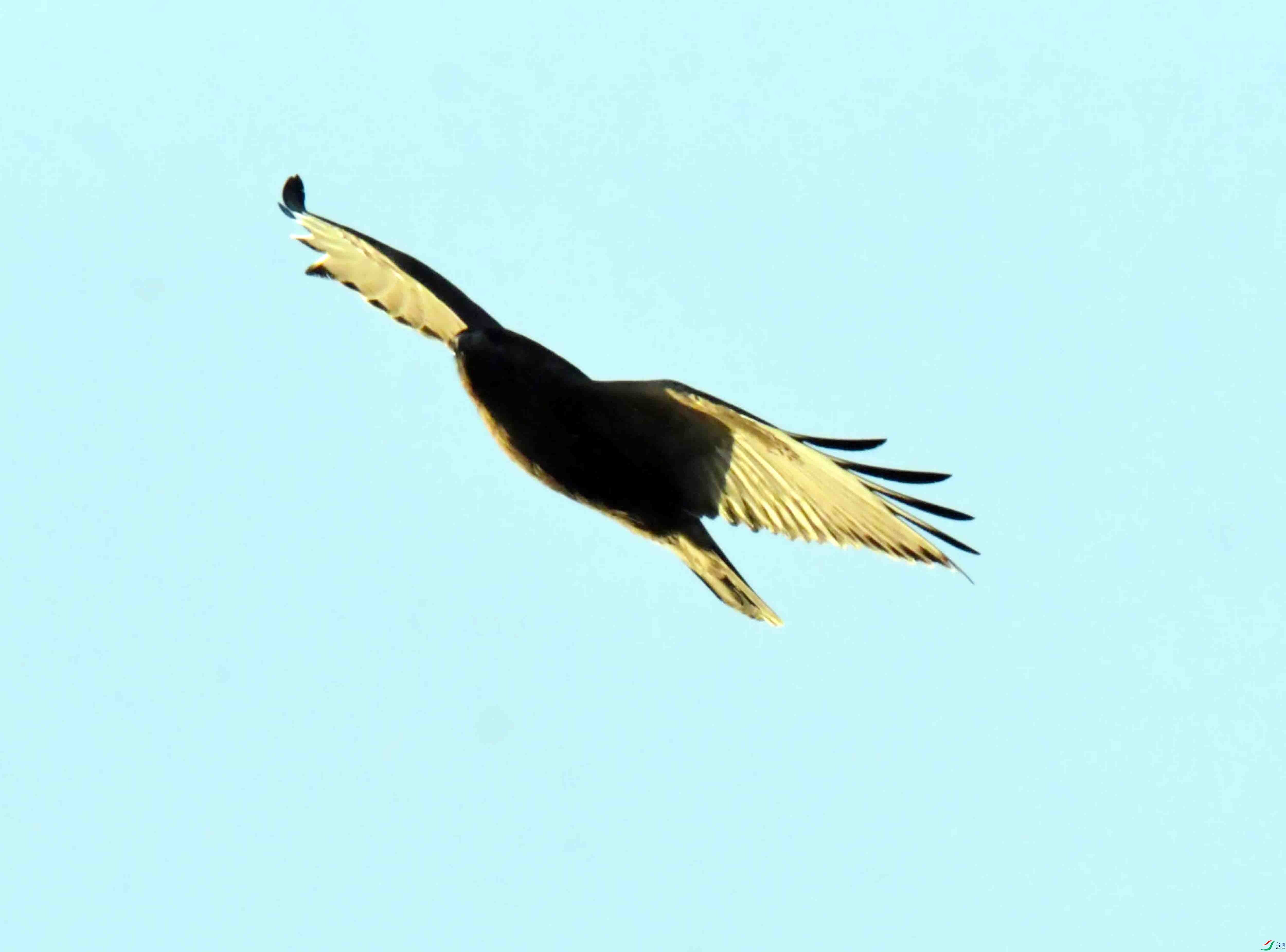 DSC_9055.JPG