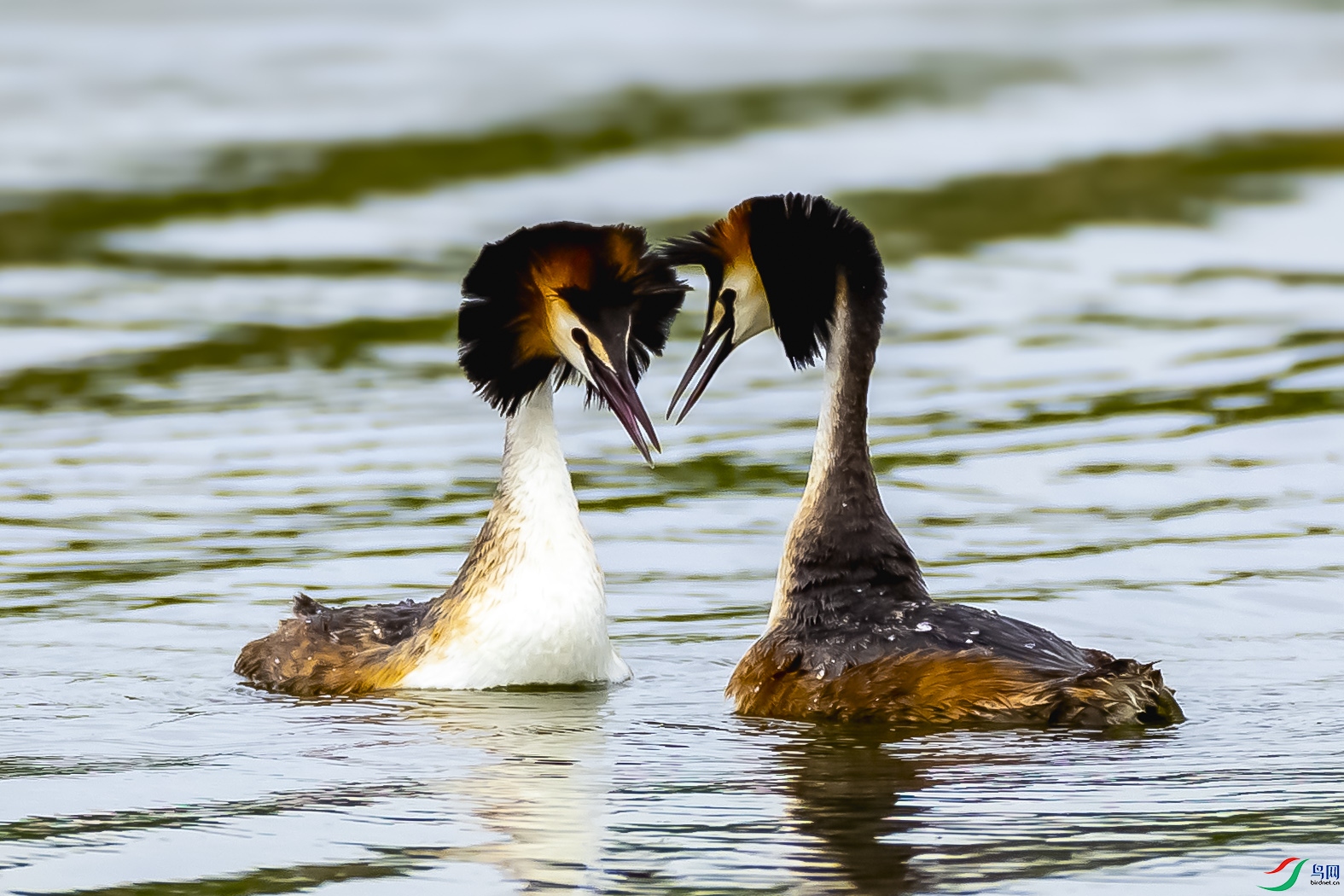 4F8A0548 ����.jpg