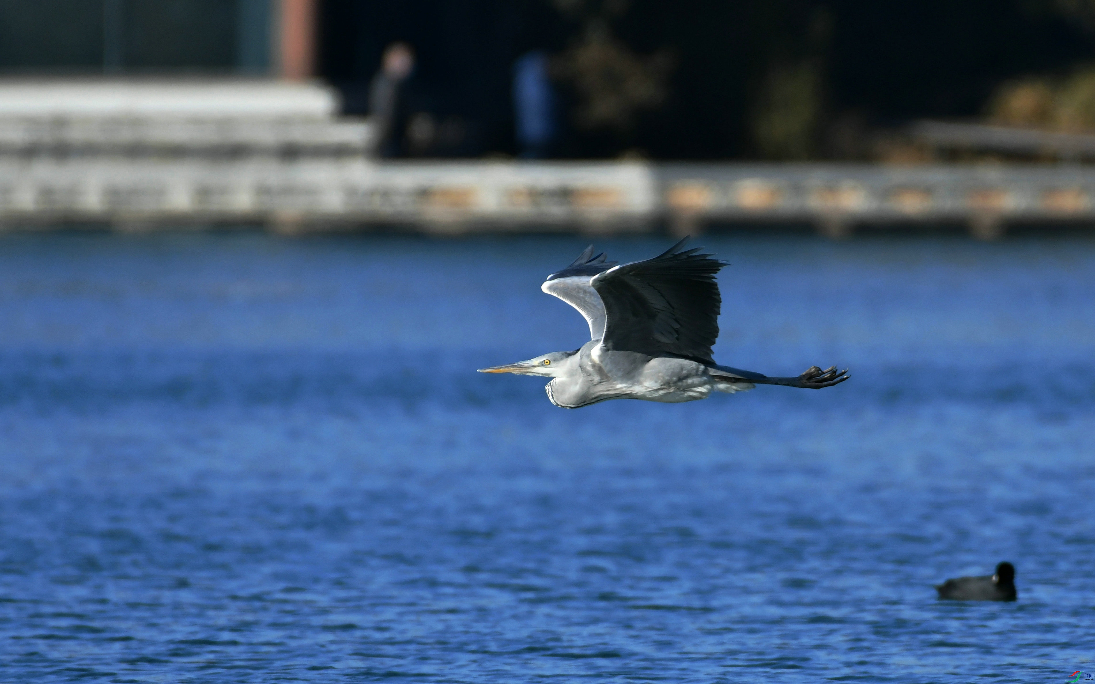 DSC_2356.JPG