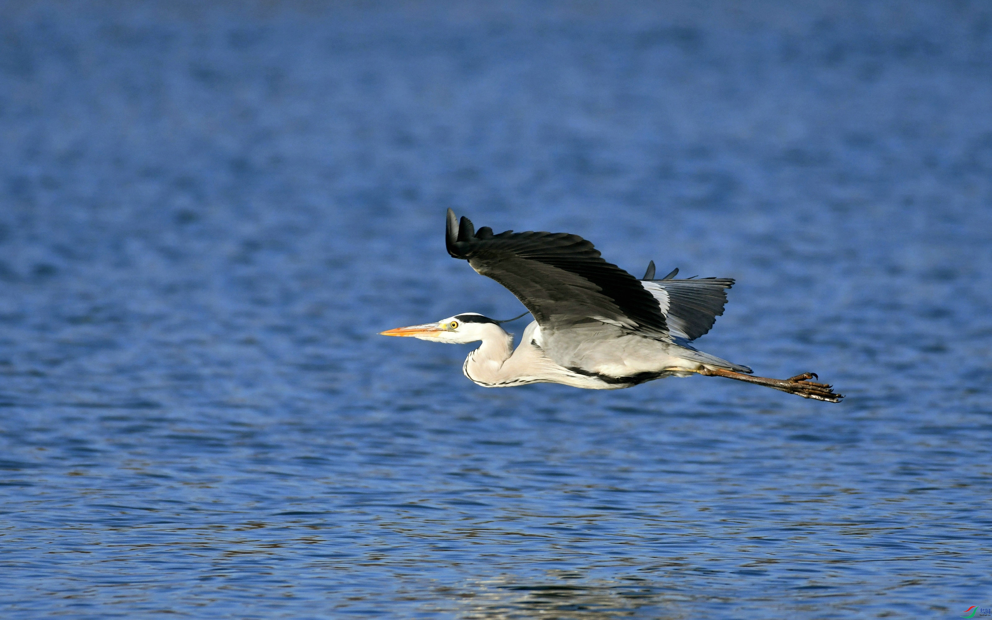 DSC_2775.JPG