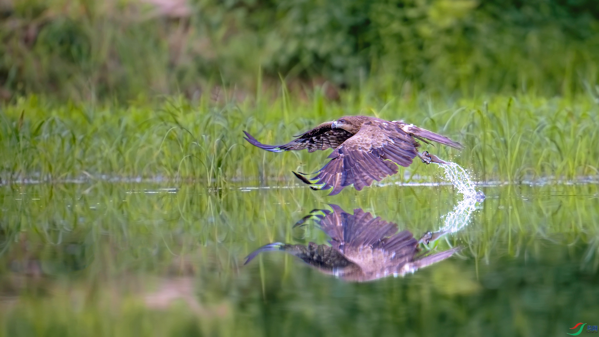 DSC_8568==1w.jpg