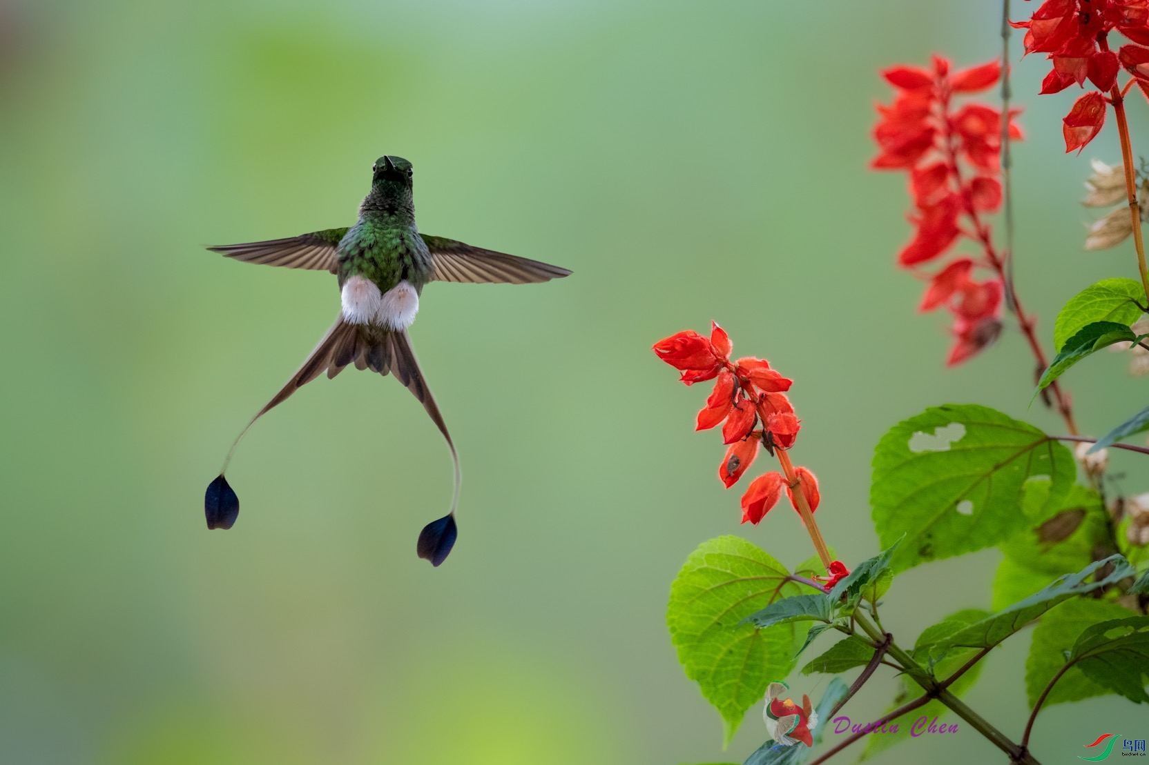 ��β����