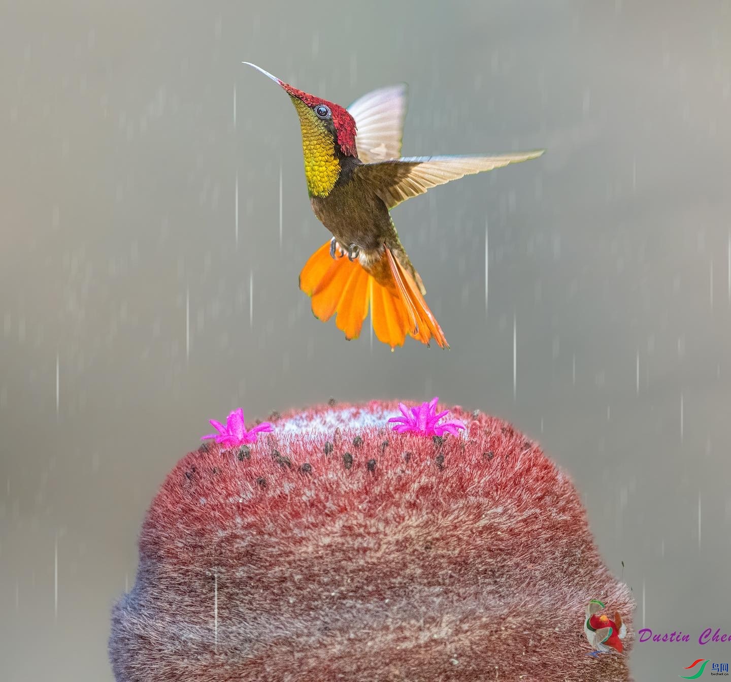 �춥���ط���