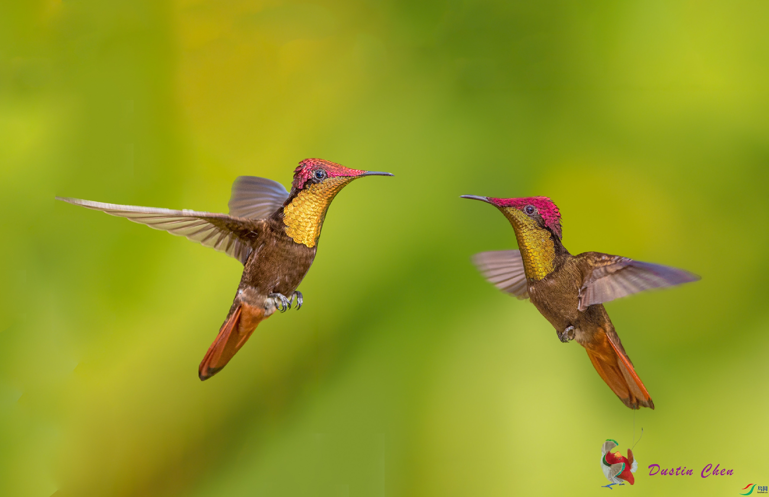 �춥���ط���