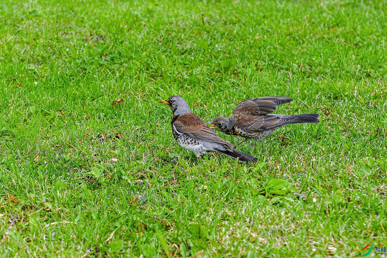 DSC_7940.jpg