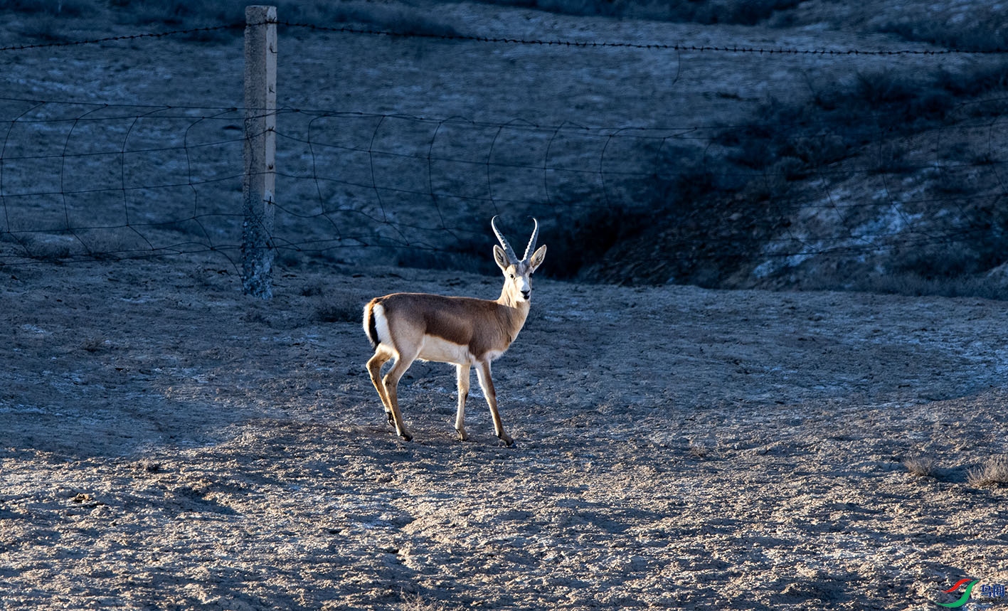 _DSC9098.jpg