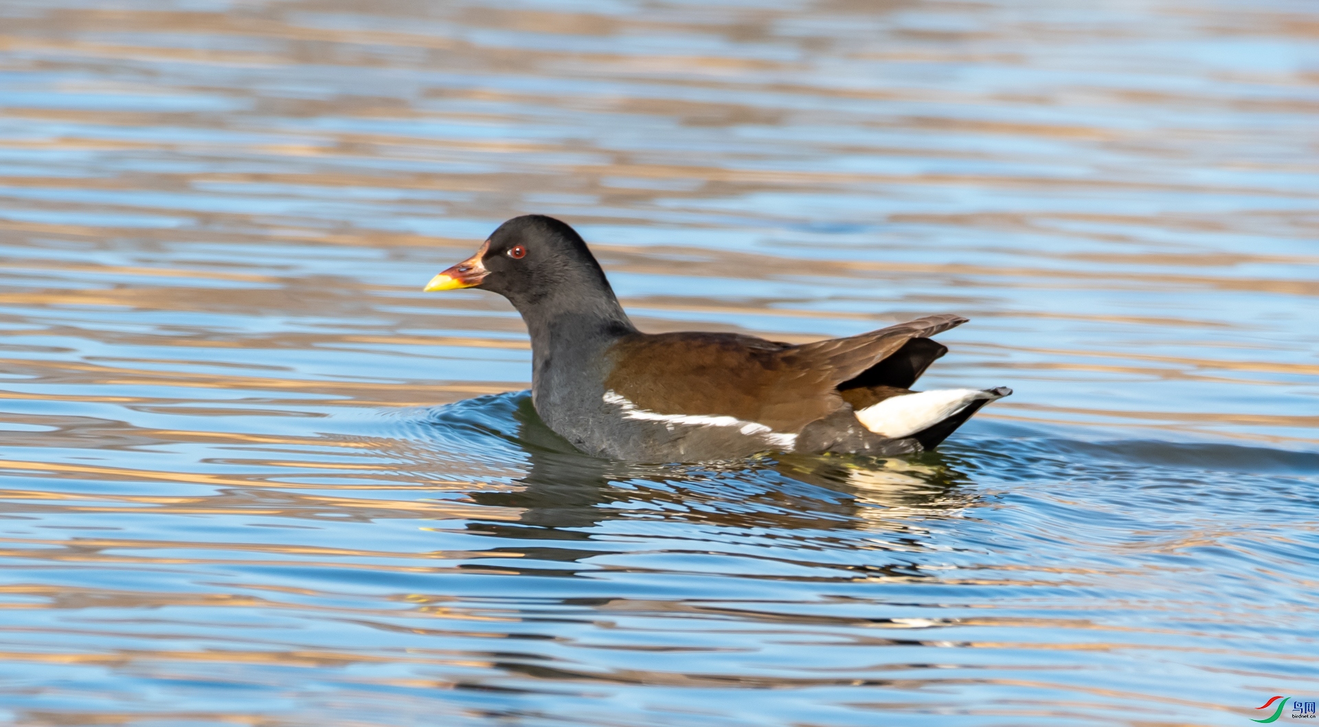 DSC_8018.jpg