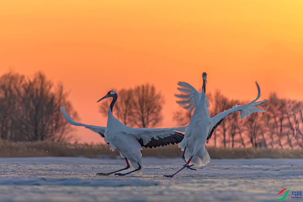 hljzlR231210 (1734)_DxO.jpg