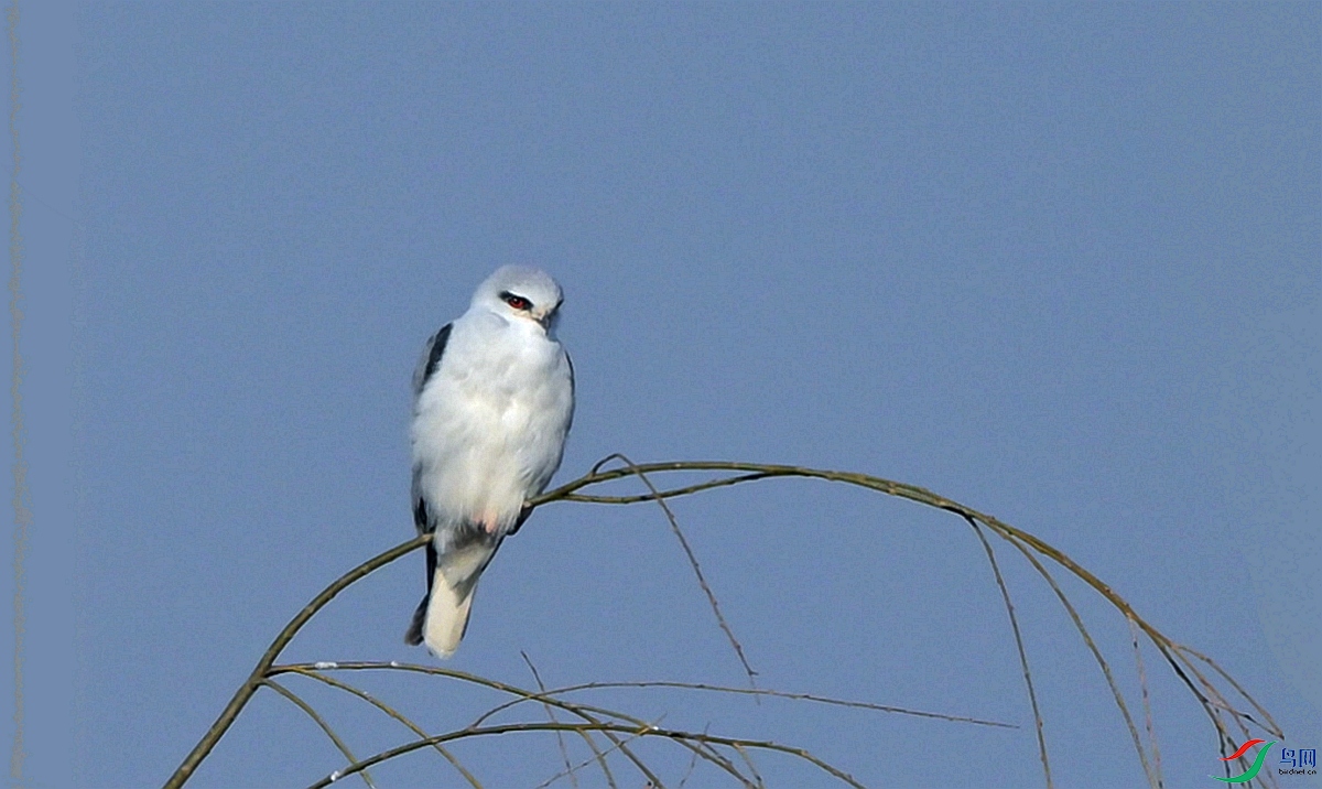 DSC_7066.JPG