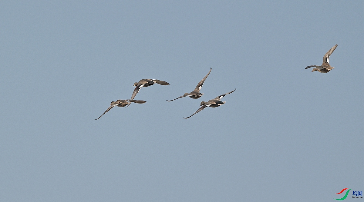 DSC_6834.JPG