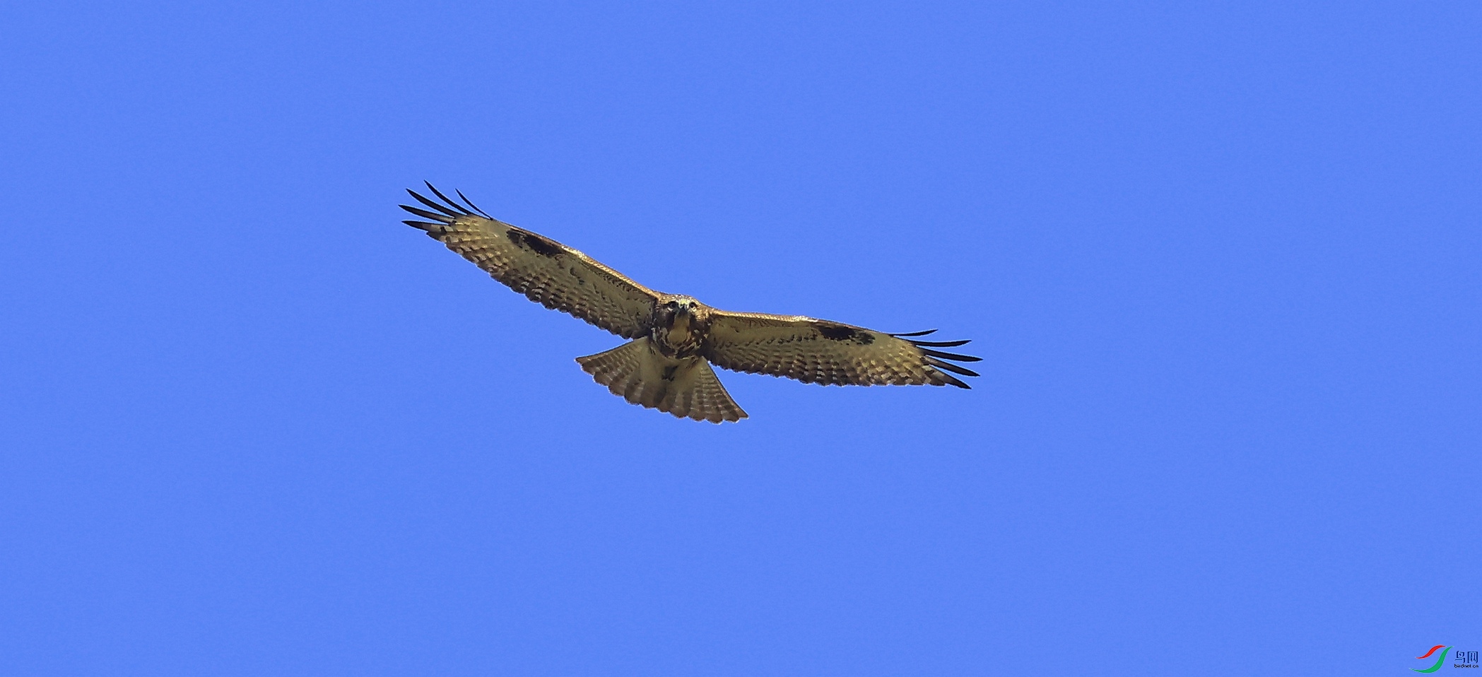 435A8790_����.jpg