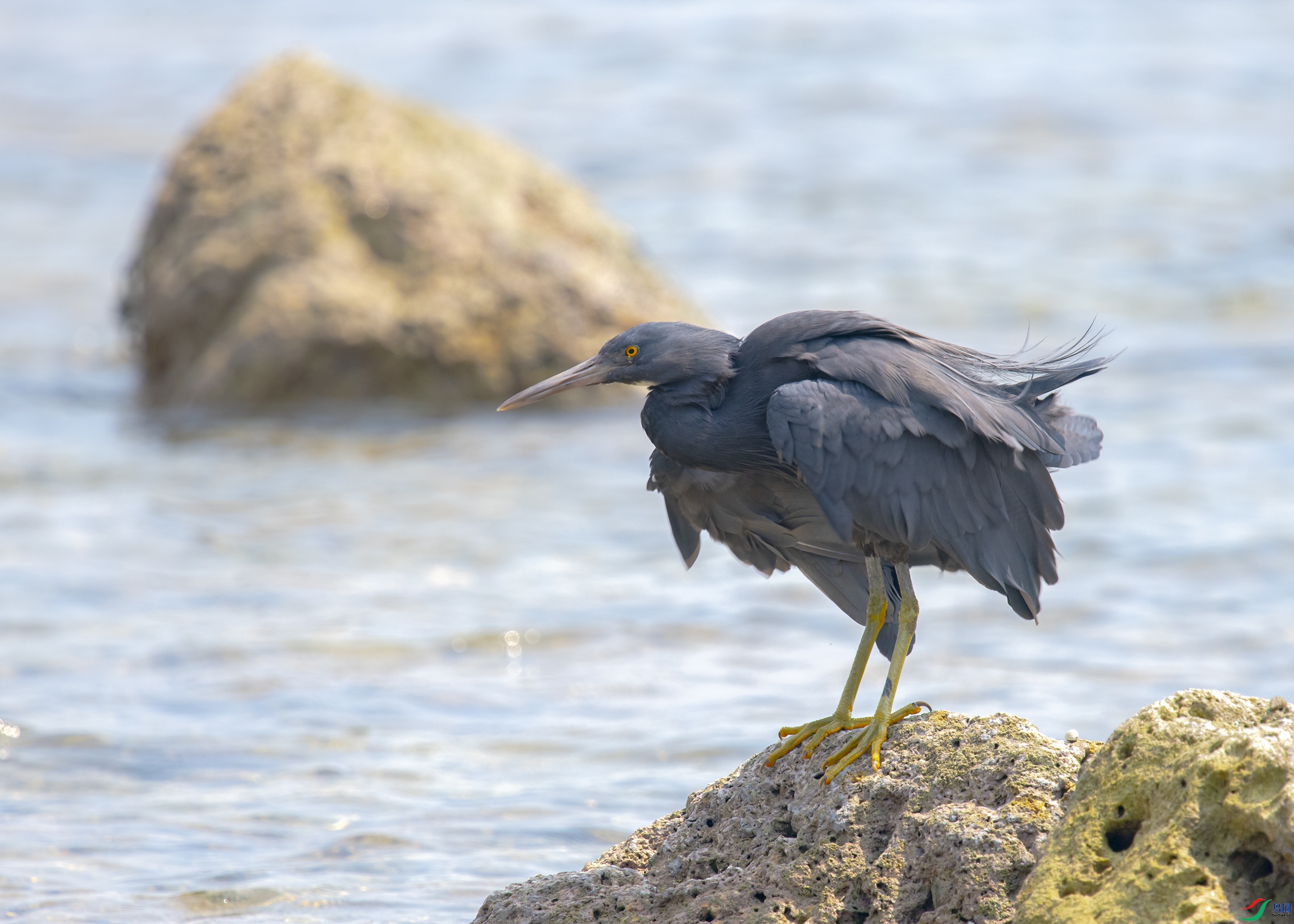 1802 ����.jpg