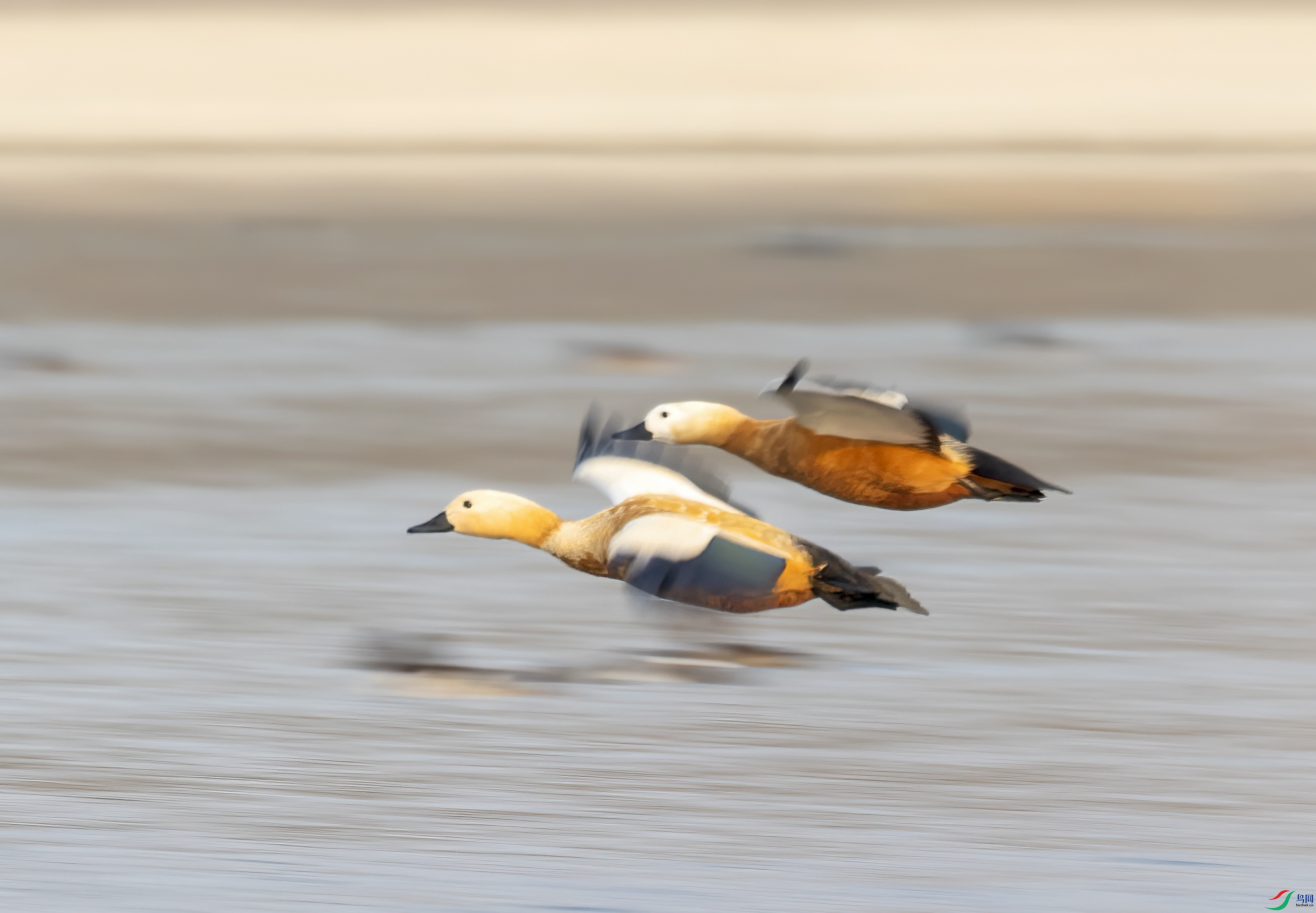 C87A2542 ����.jpg