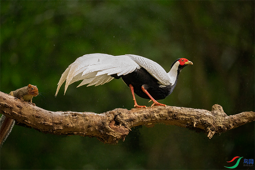 DSC03266.png  00002.png