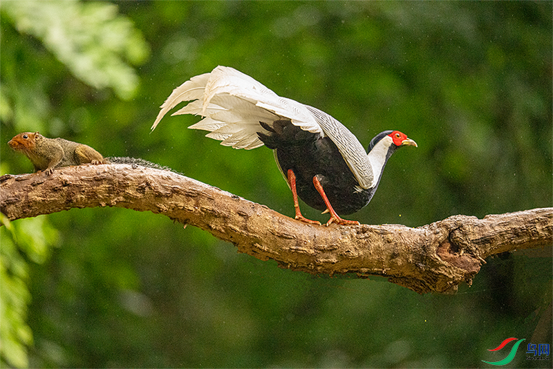 DSC03174.png   0002.png