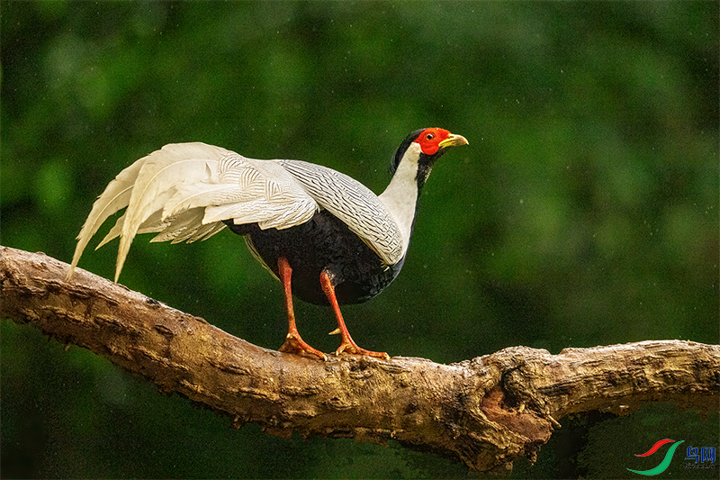 DSC03089.png   0002.png