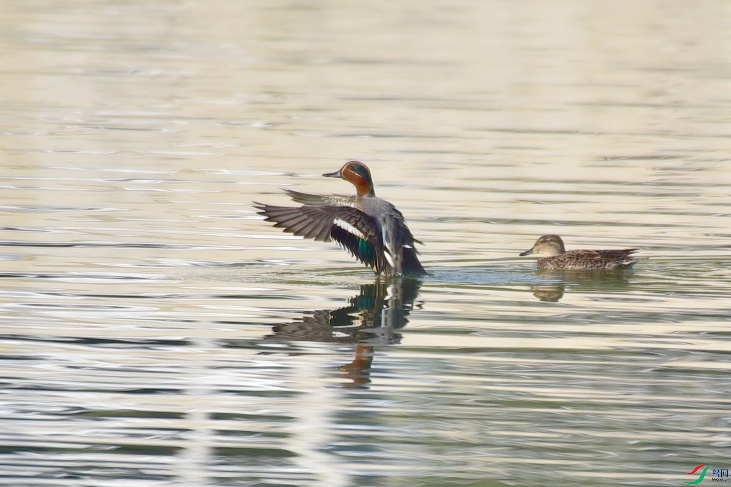 DSC_3385.JPG