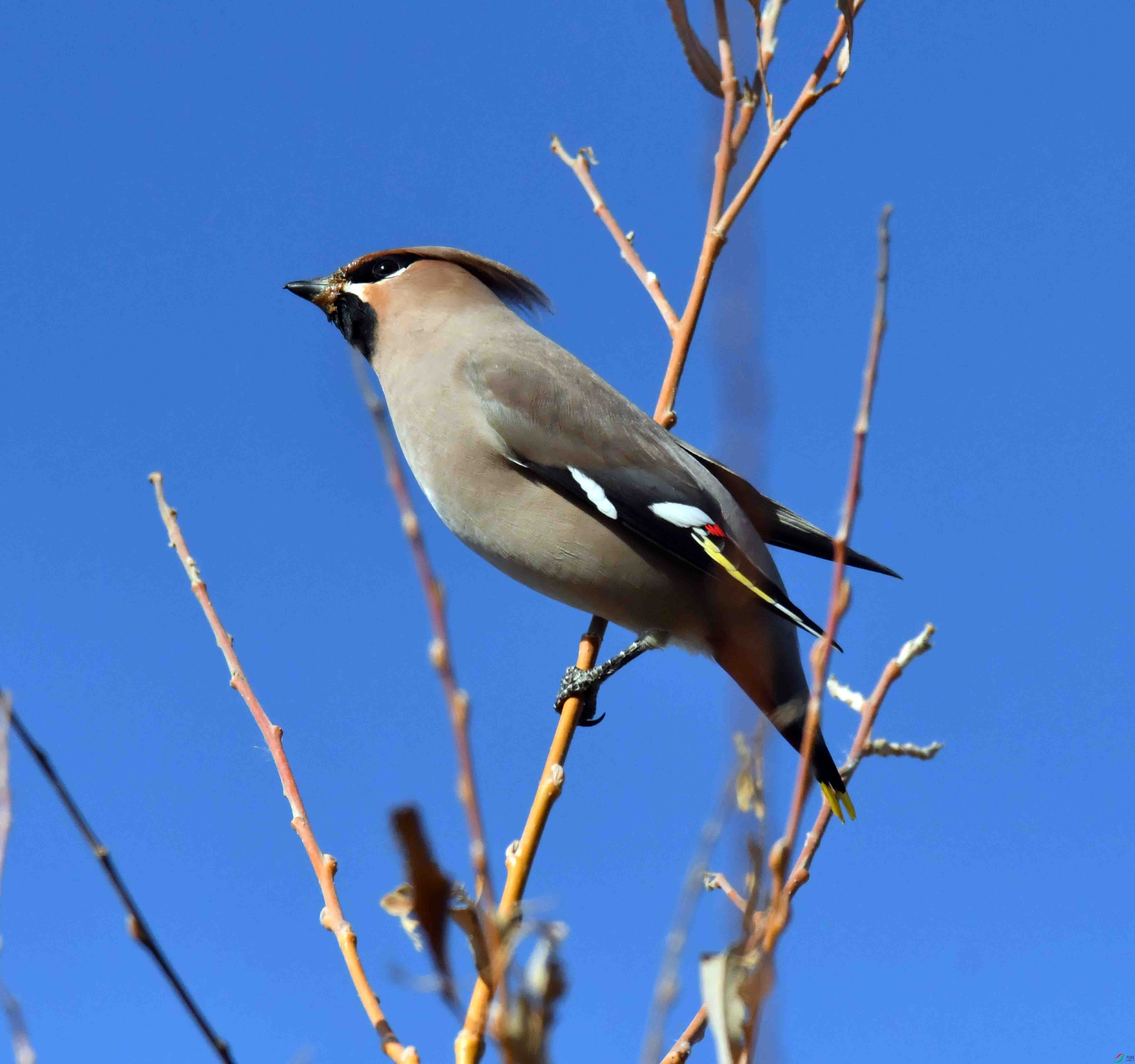 DSC_8341.JPG