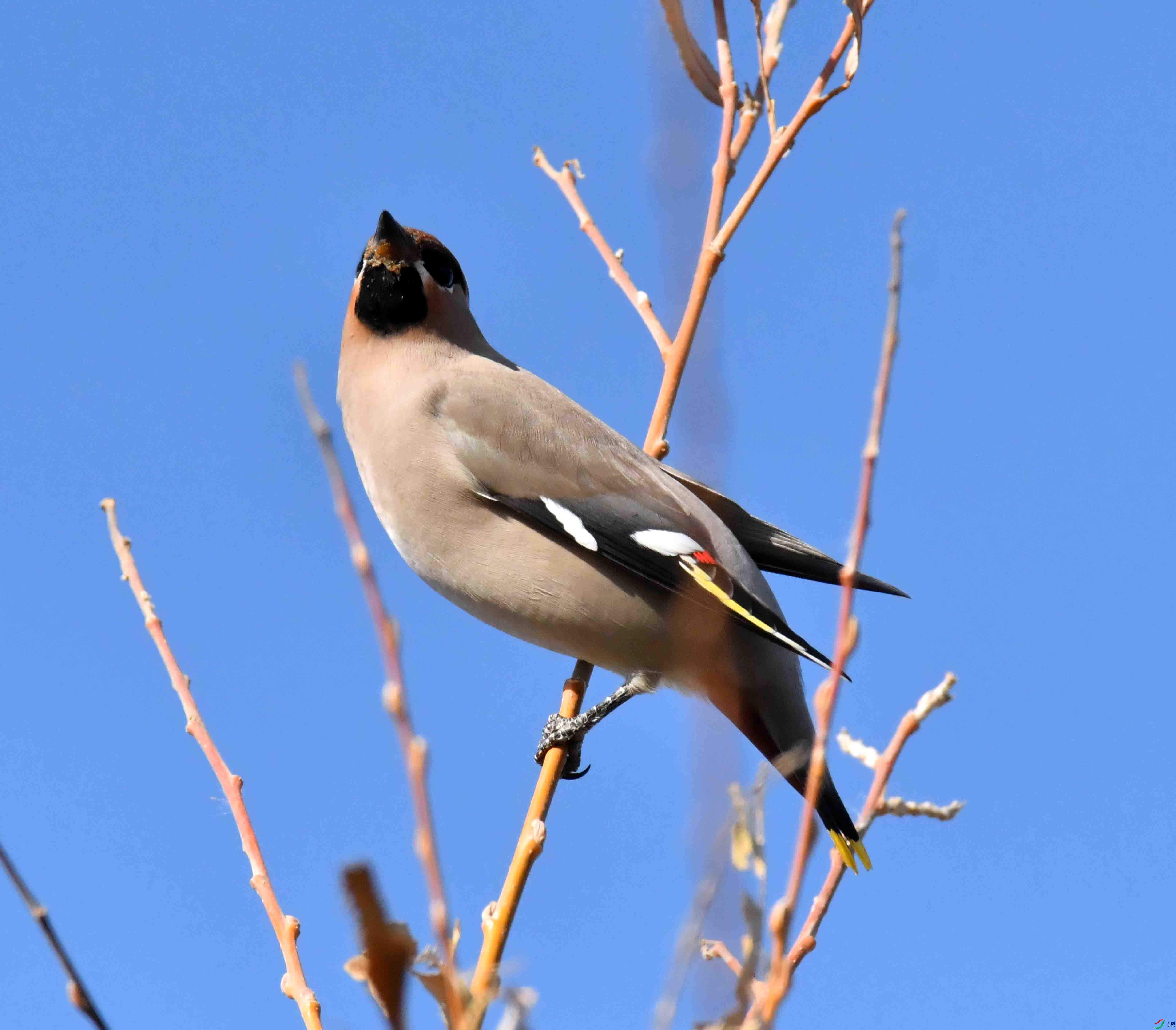 DSC_8342.JPG
