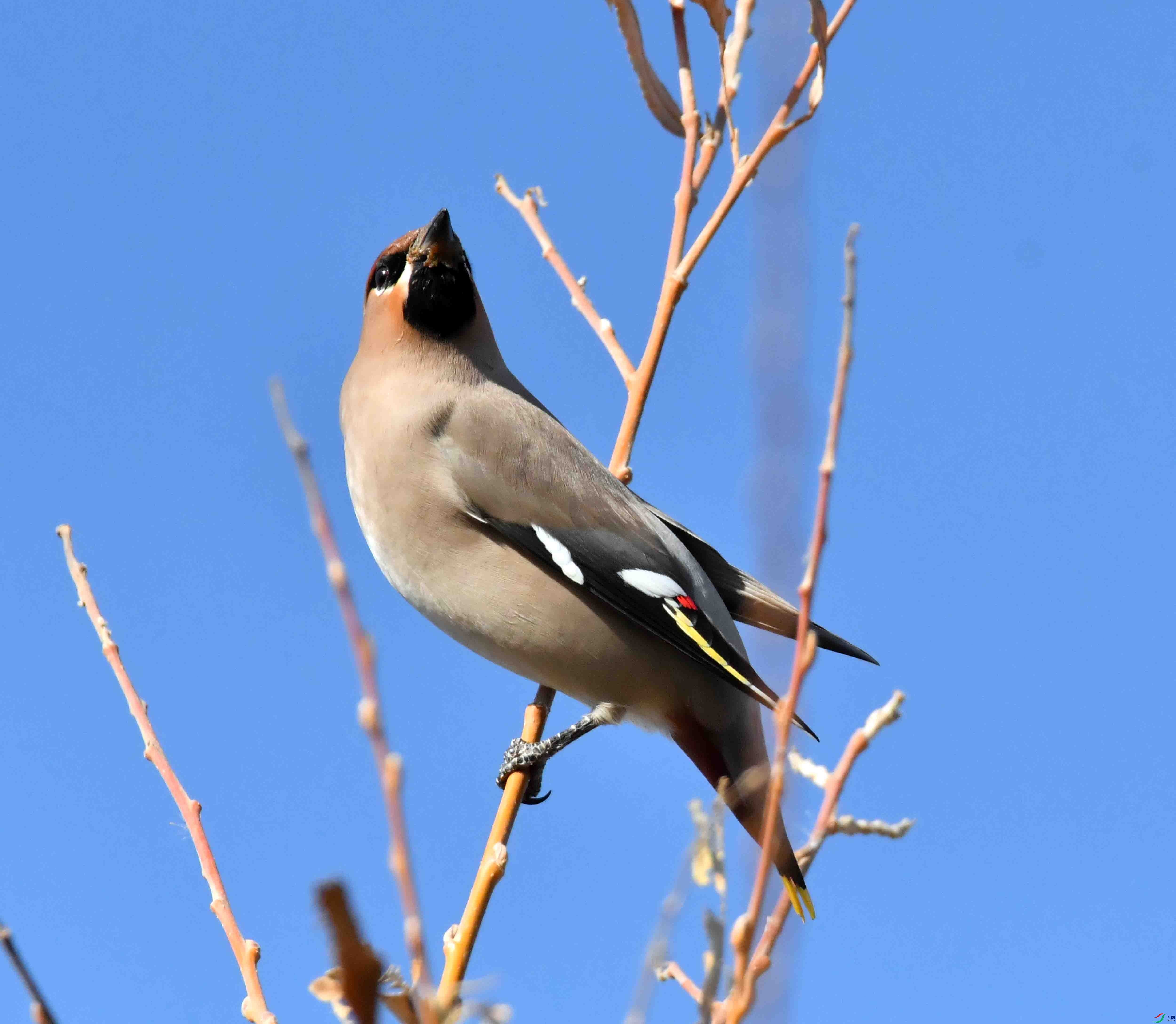 DSC_8344.JPG