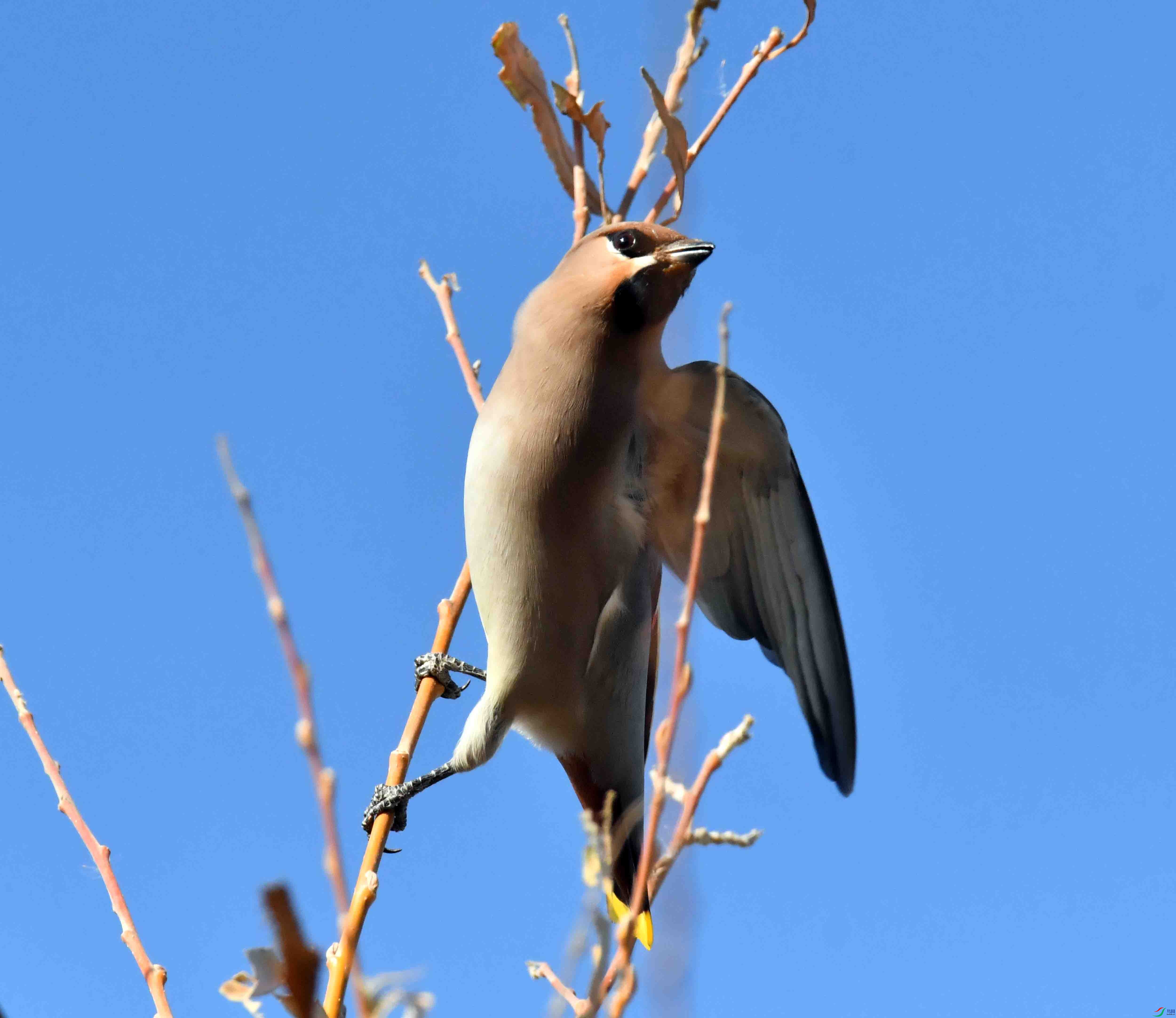 DSC_8346.JPG