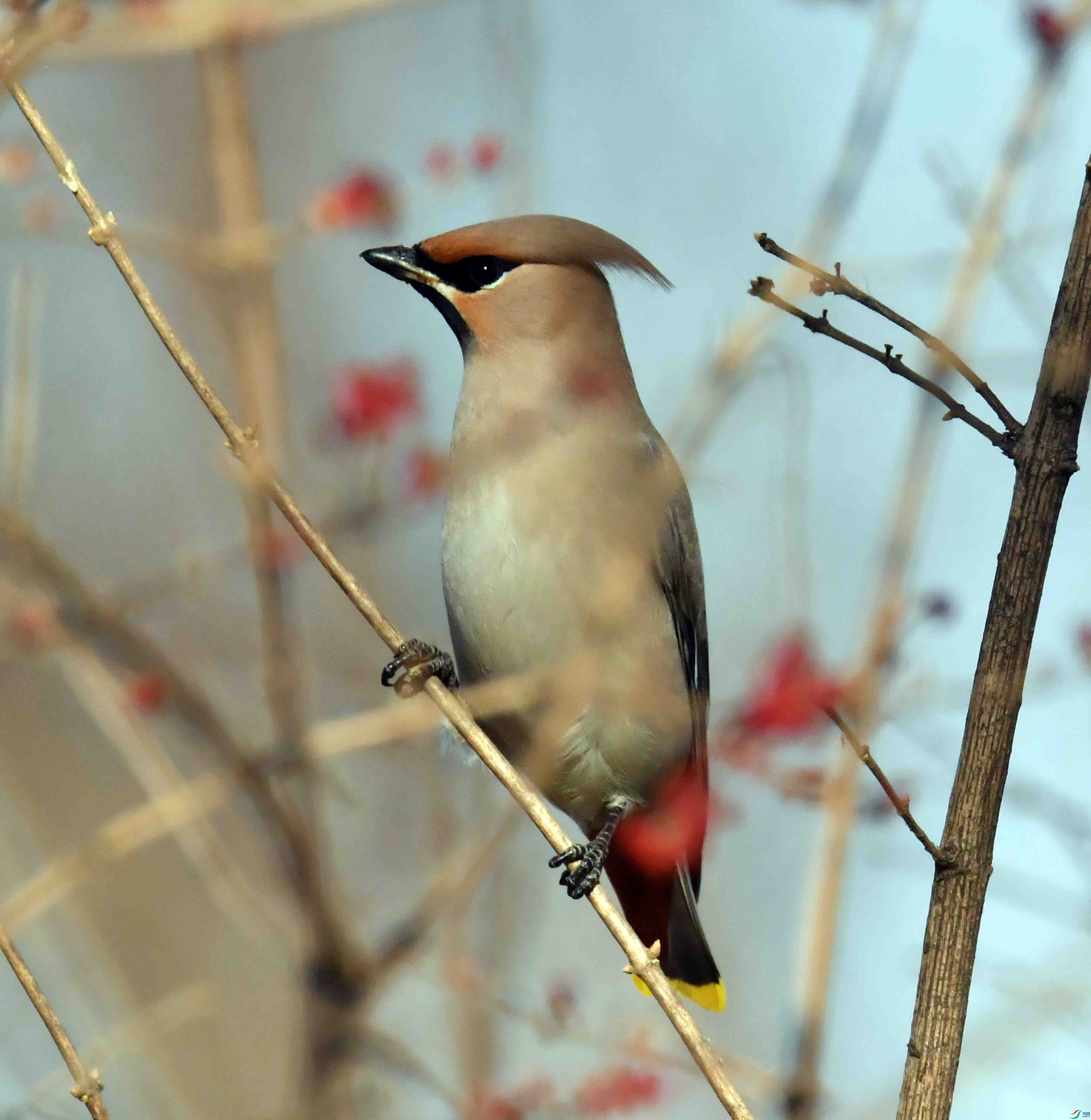 DSC_8355.JPG