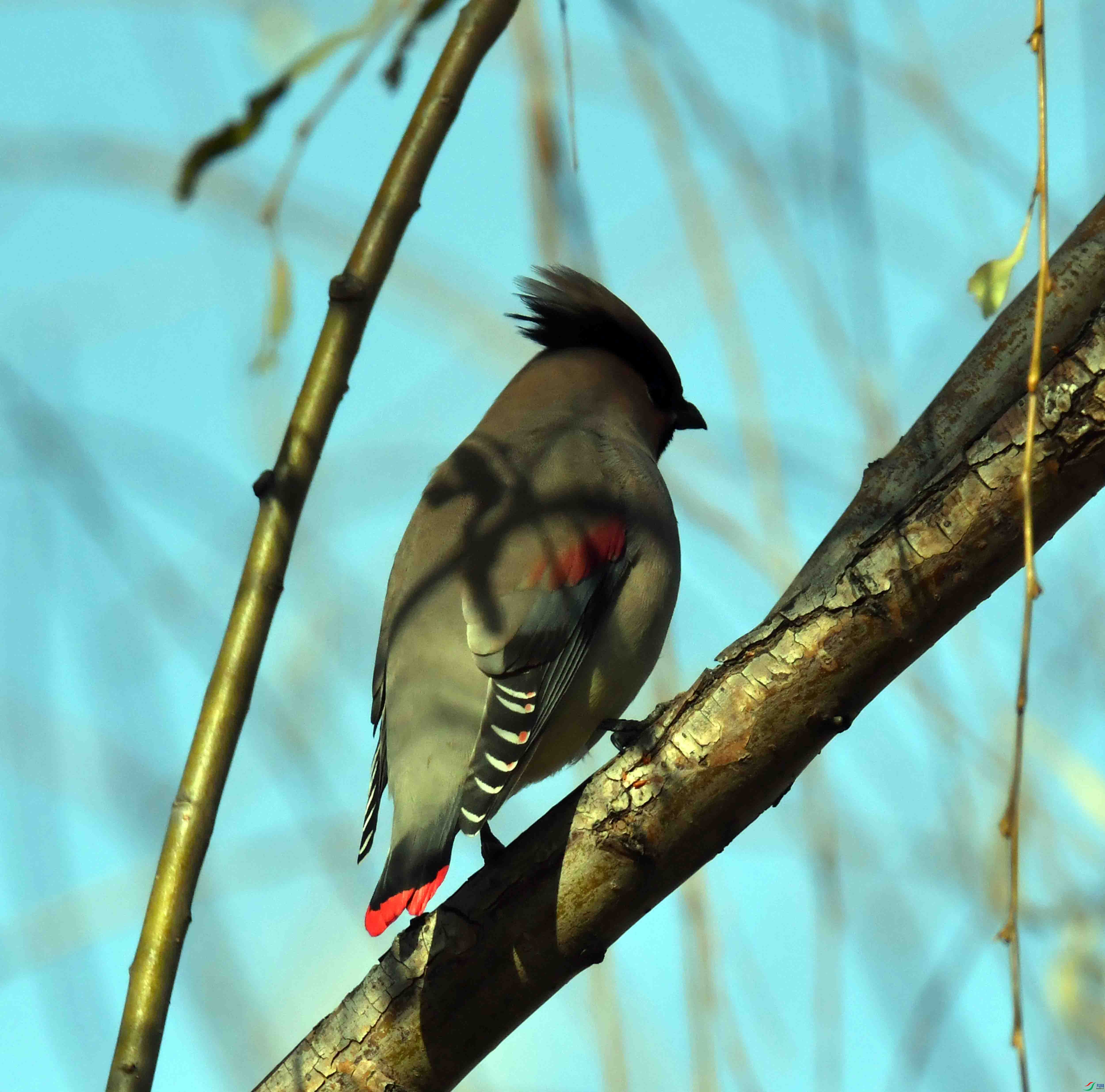 DSC_8837.JPG