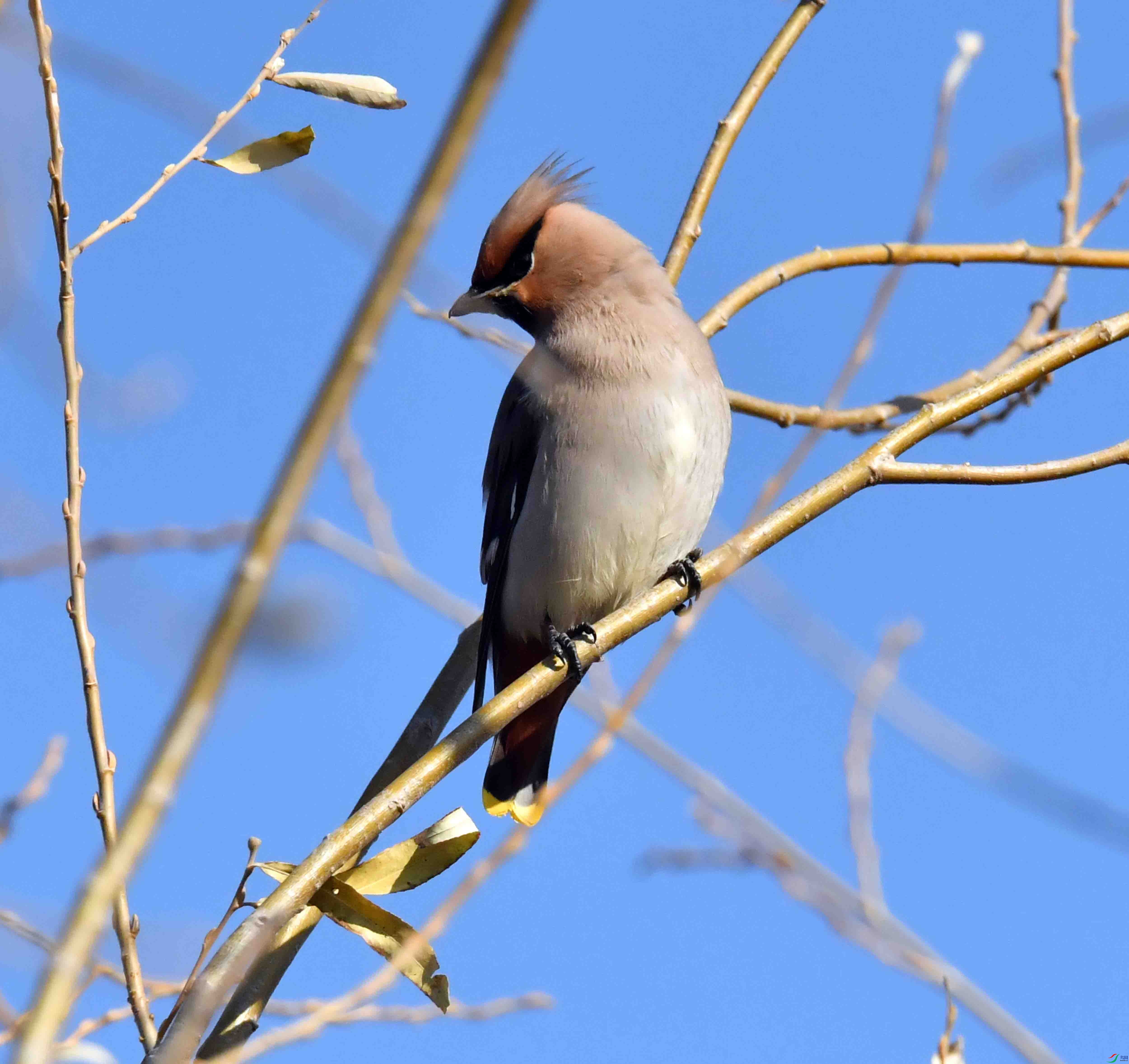 DSC_8840.JPG