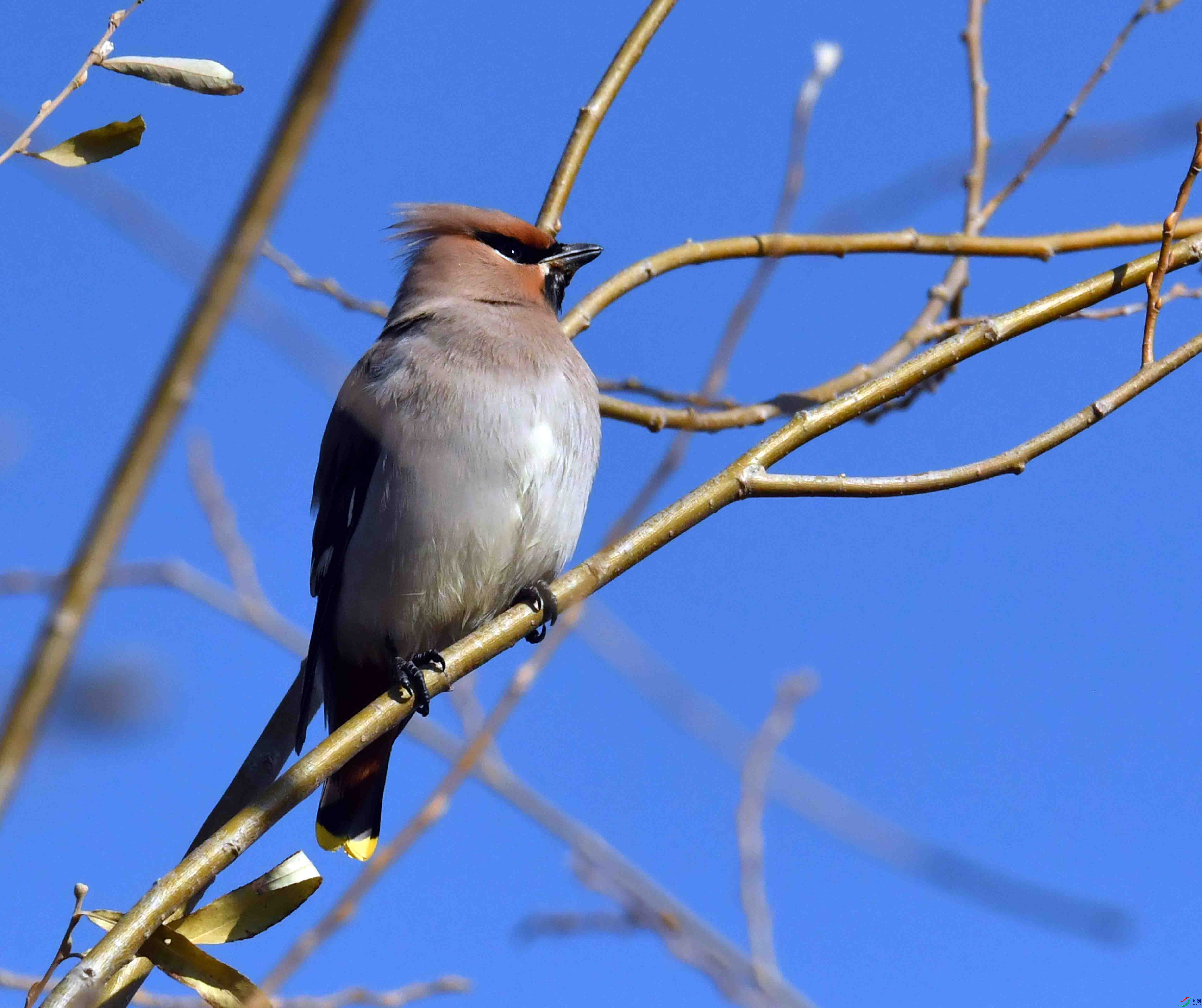 DSC_8843.JPG