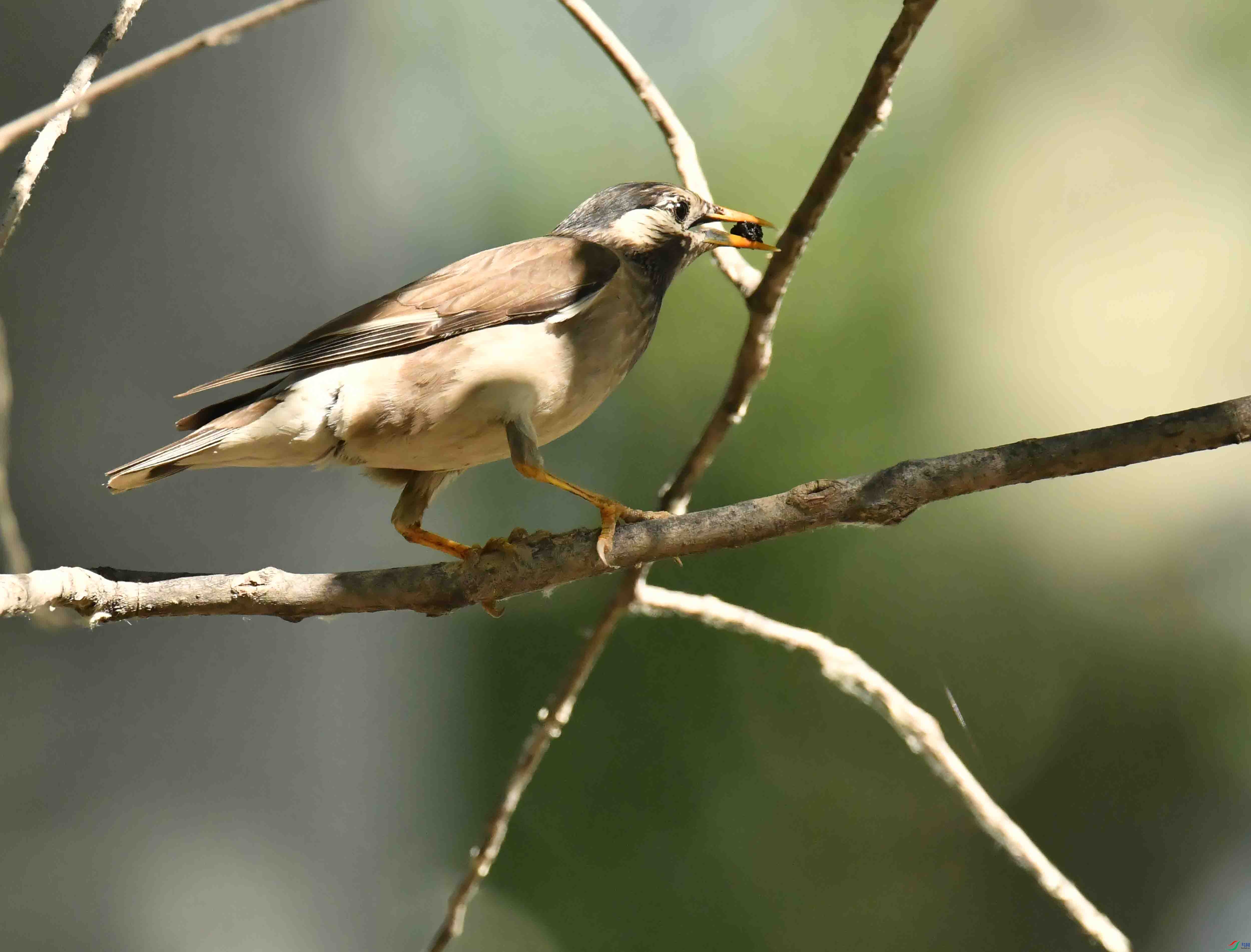 DSC_3424.JPG