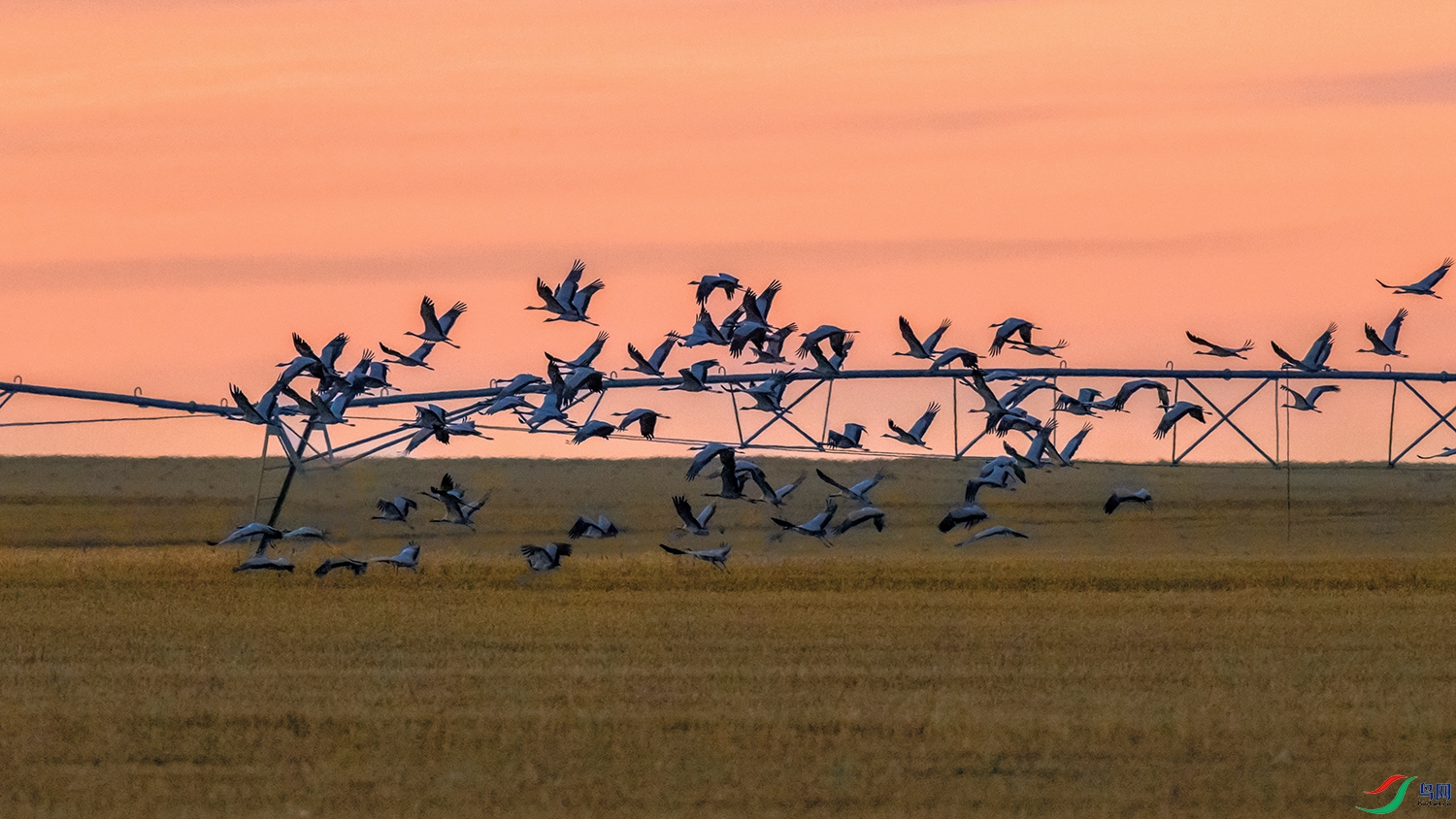 �����----�����ƽ��