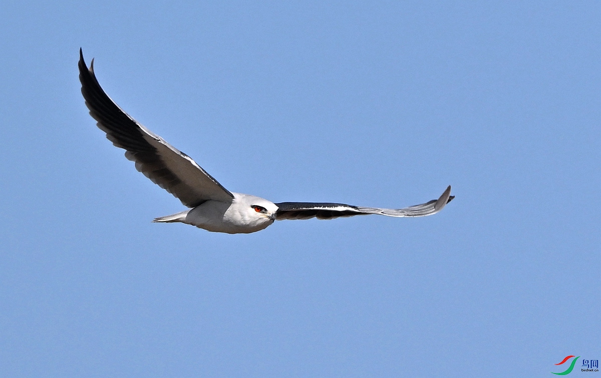 DSC_2594.JPG