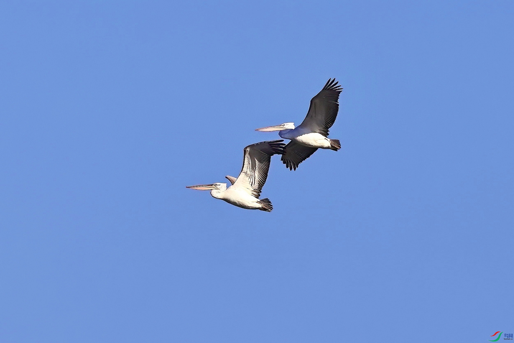 IMG_0751-1.JPG