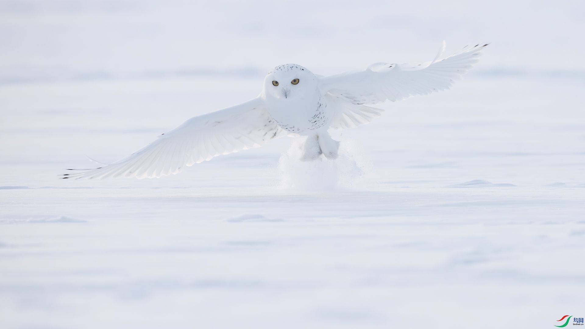 �ļ��� �εض��� ������ͷ.jpg