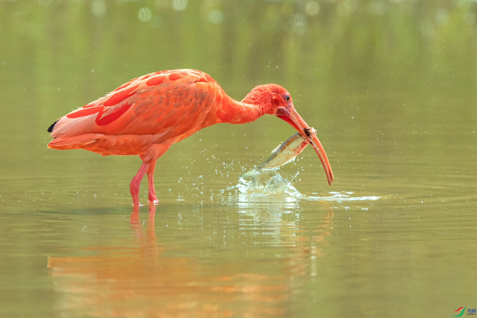 B86I5061 _����.jpg