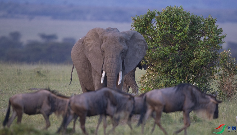 ���� (3).jpg