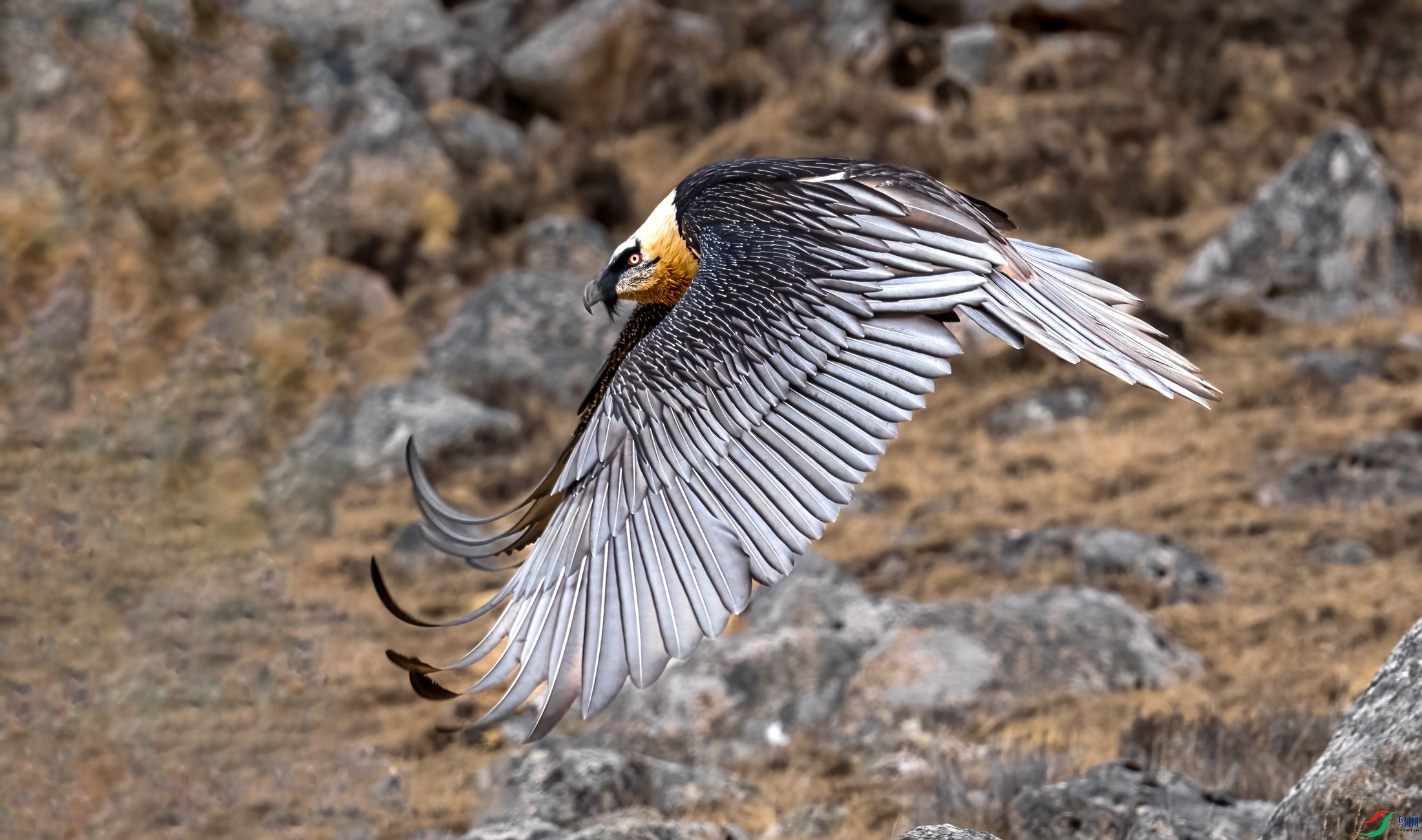 ��������D�D�D��أ��