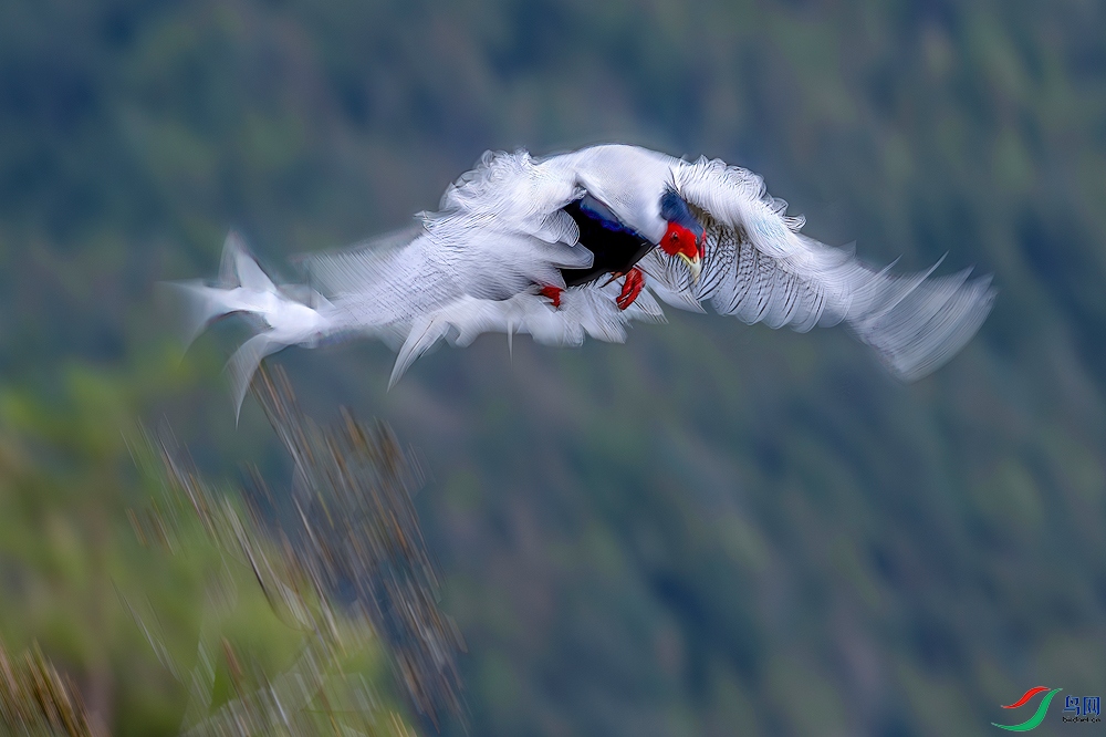 �ɾ�����-����.jpg