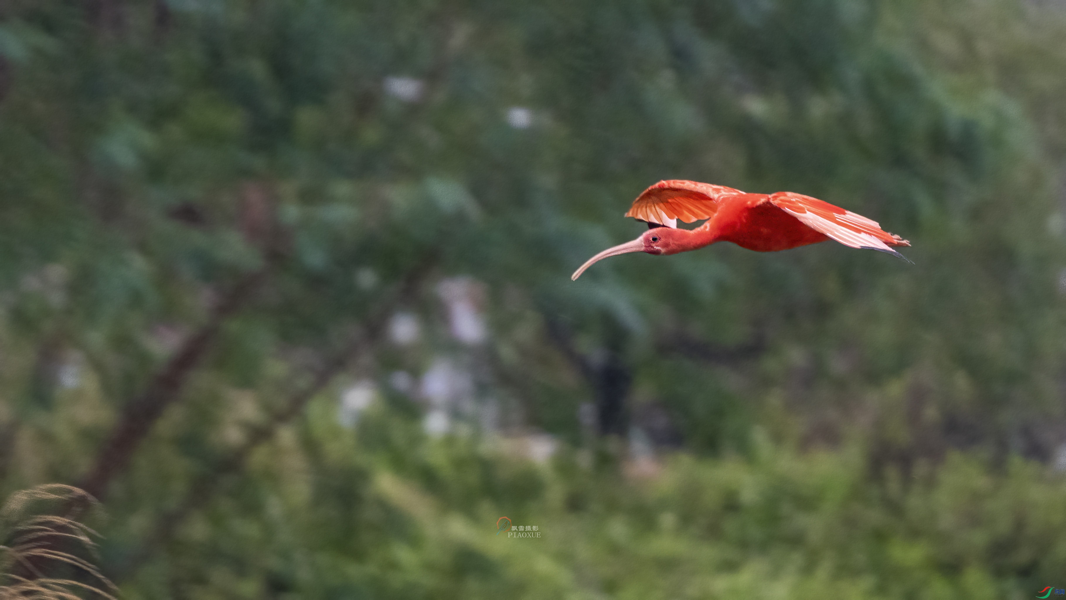 1-P1100063-xt.jpg