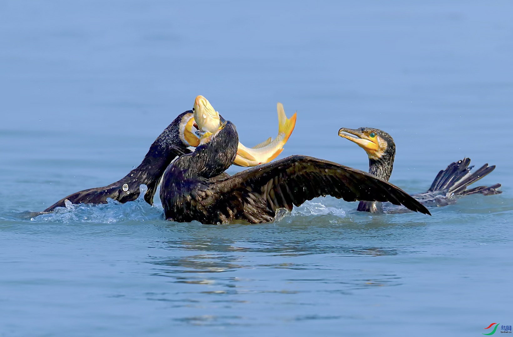 mmexport1697700440689 ����.jpg