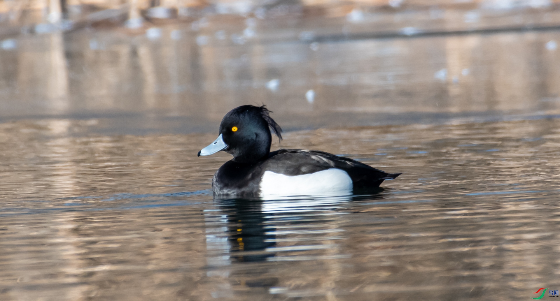 DSC_8774.jpg
