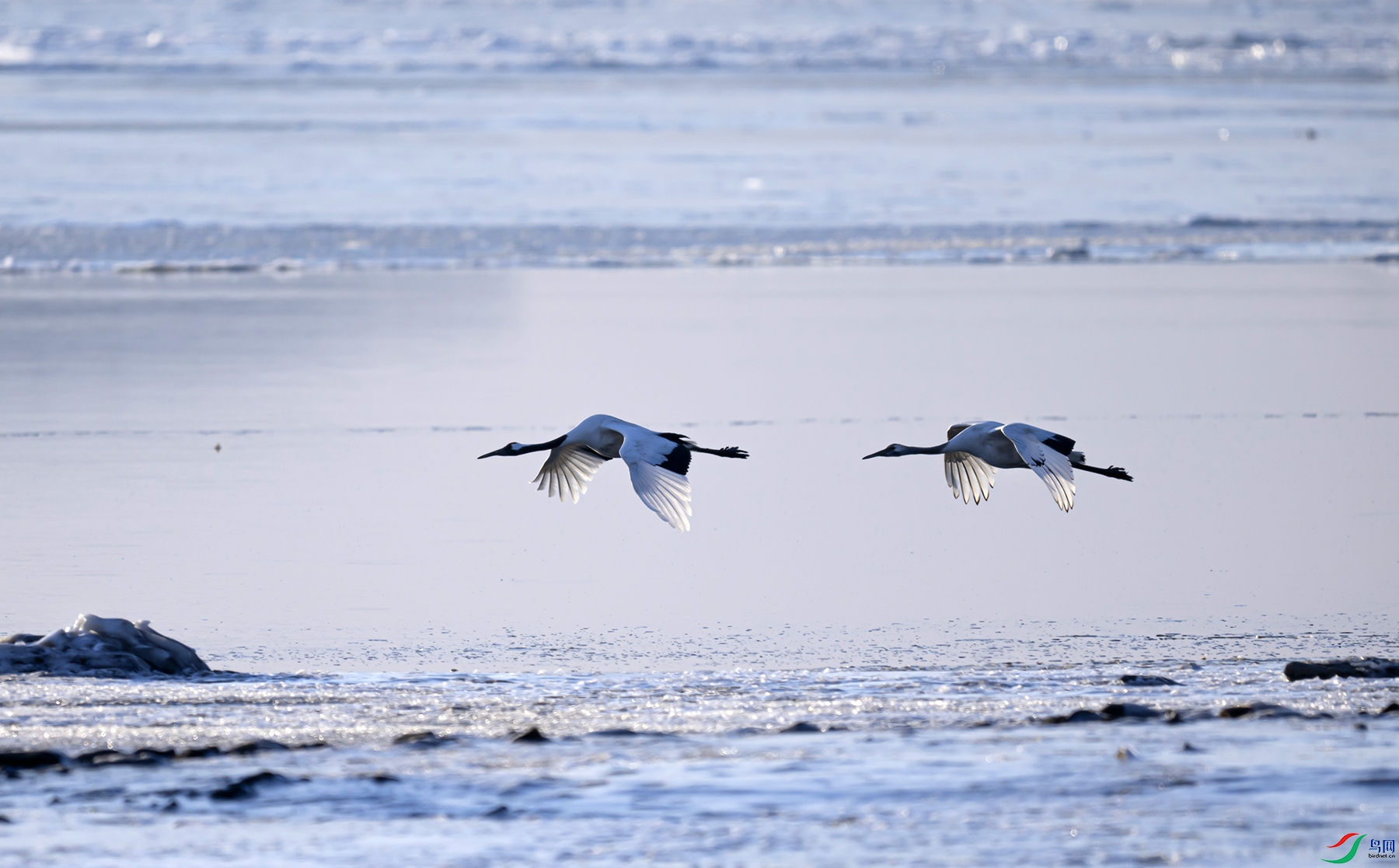 _DSC6167d.jpg