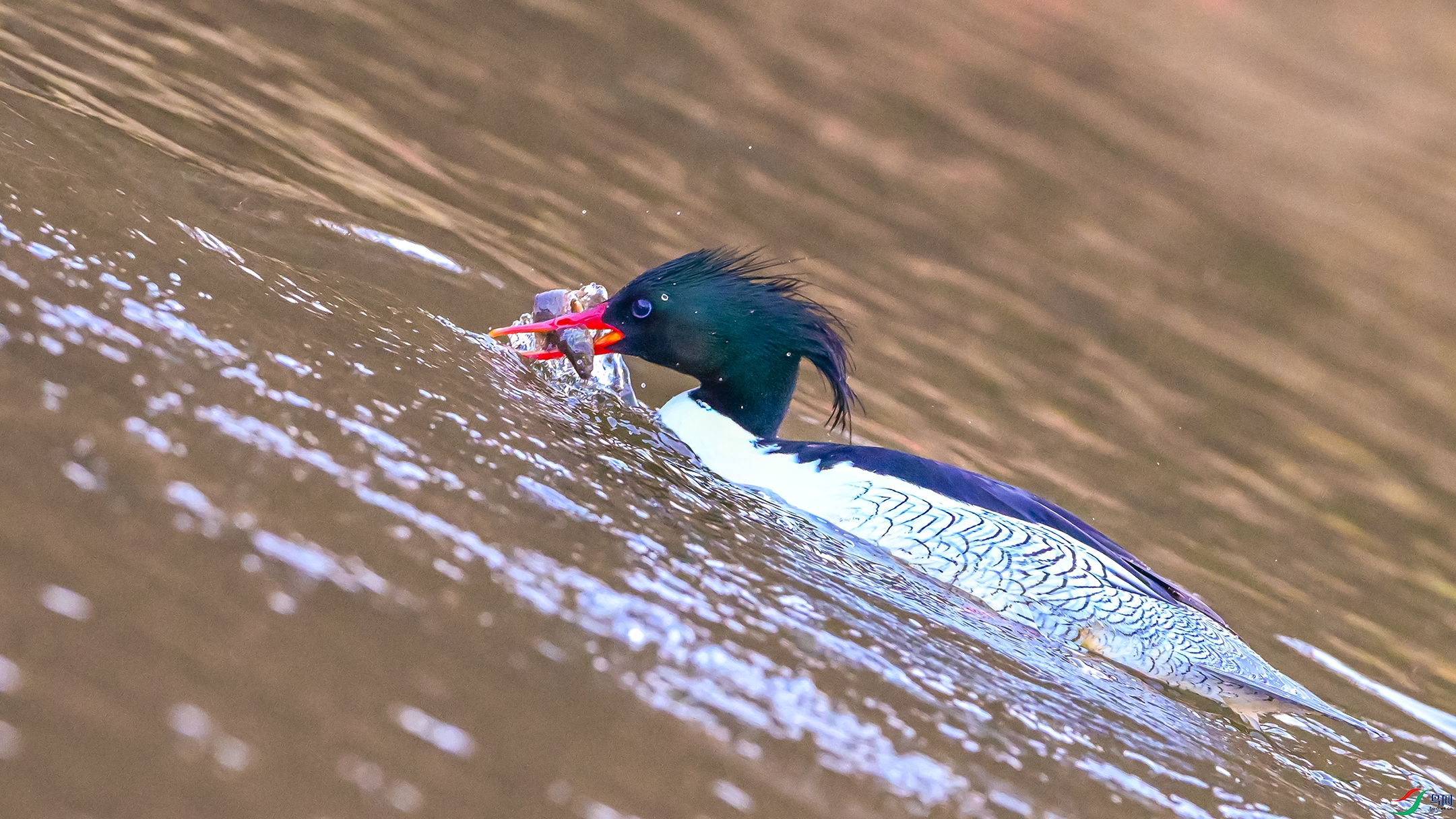 0250 ����.jpg