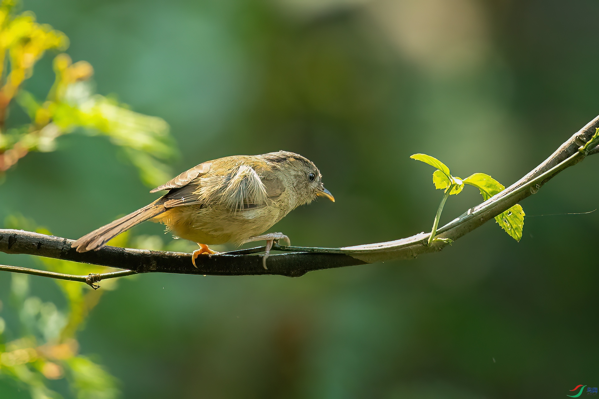 DSC_5602.jpg