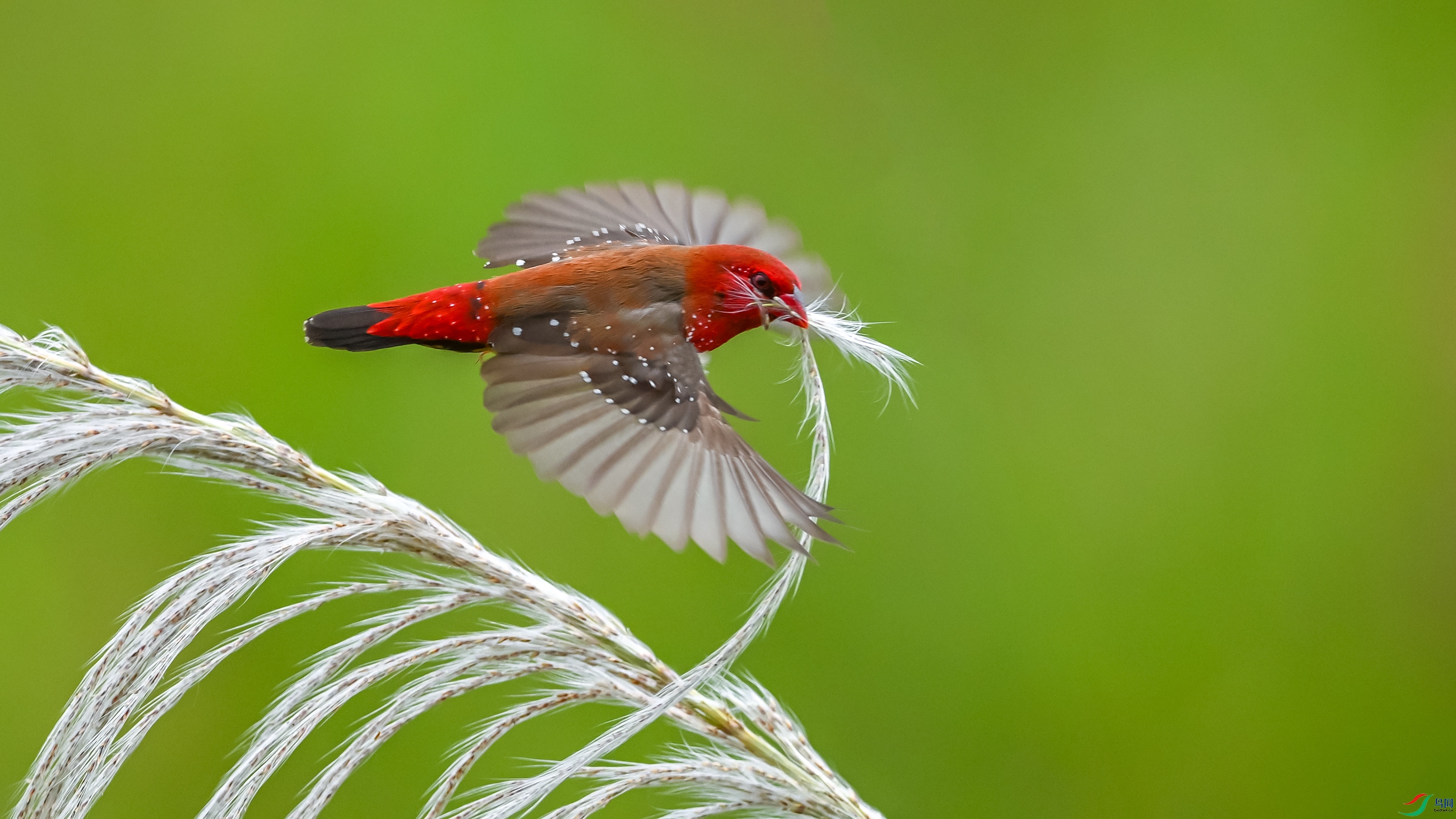 3225 ����.jpg