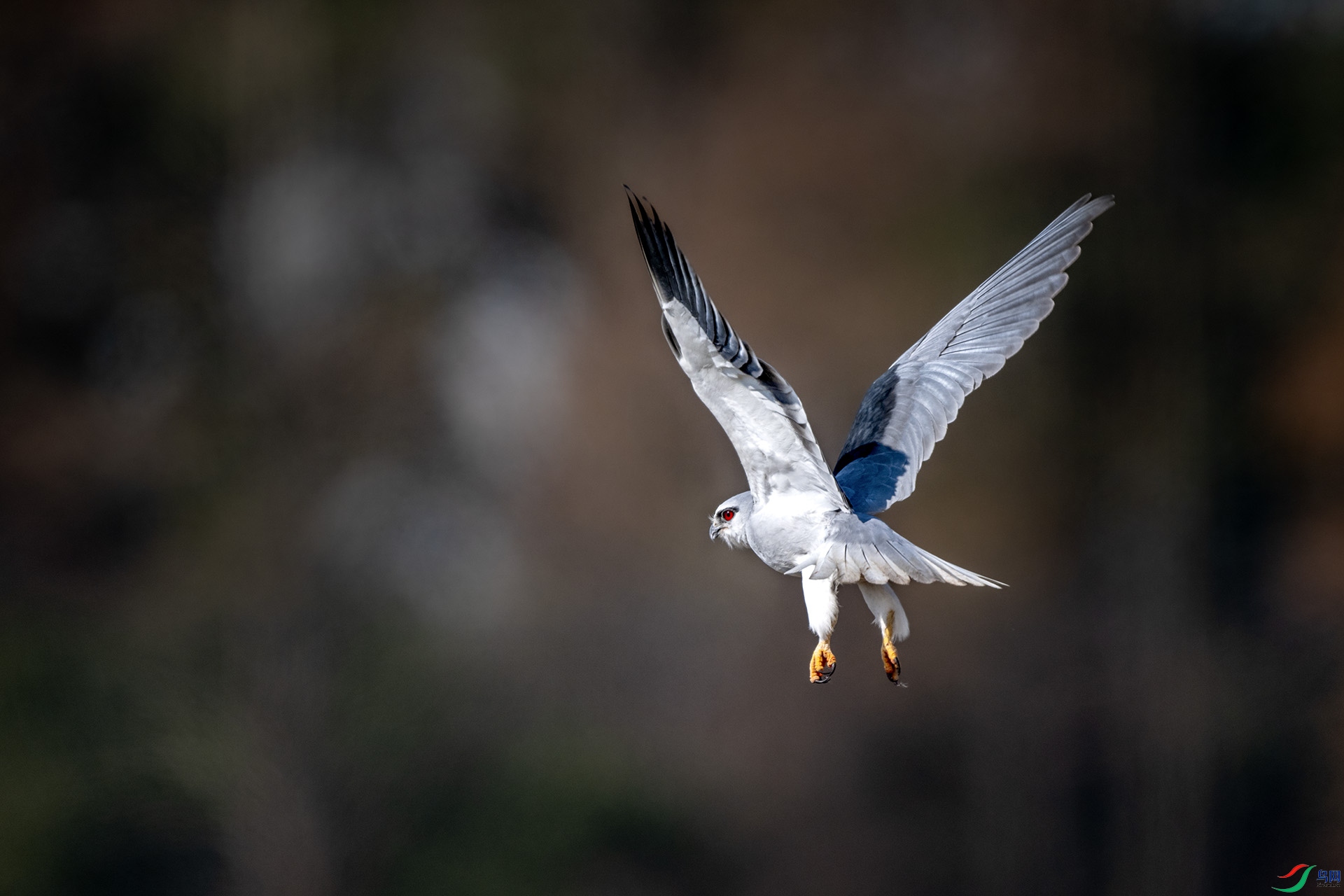 DSC_4055.jpg