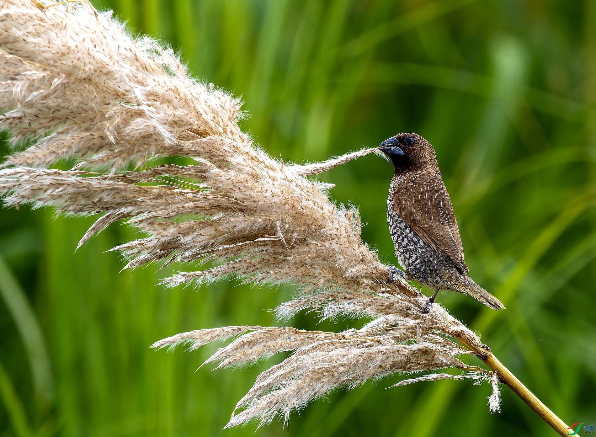 ������ (4)-1.jpg